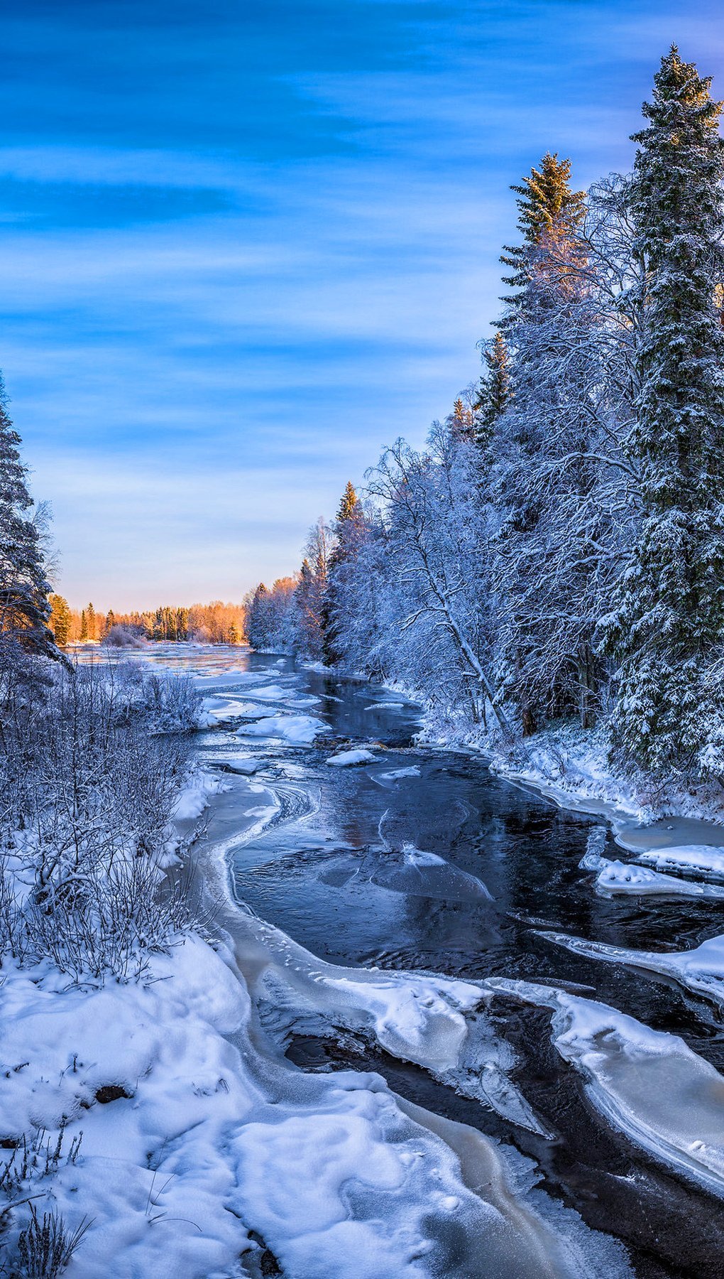 Amanecer en el bosque Finlandia