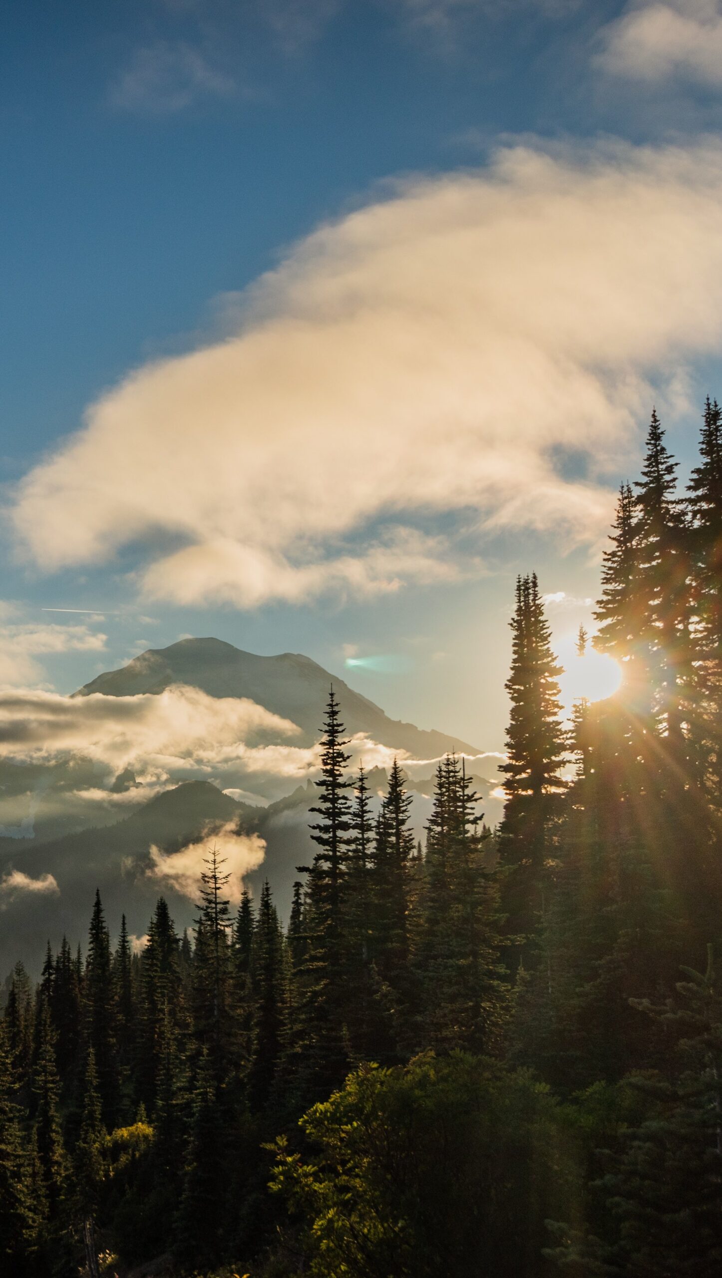 Amanecer en el bosque con montañas