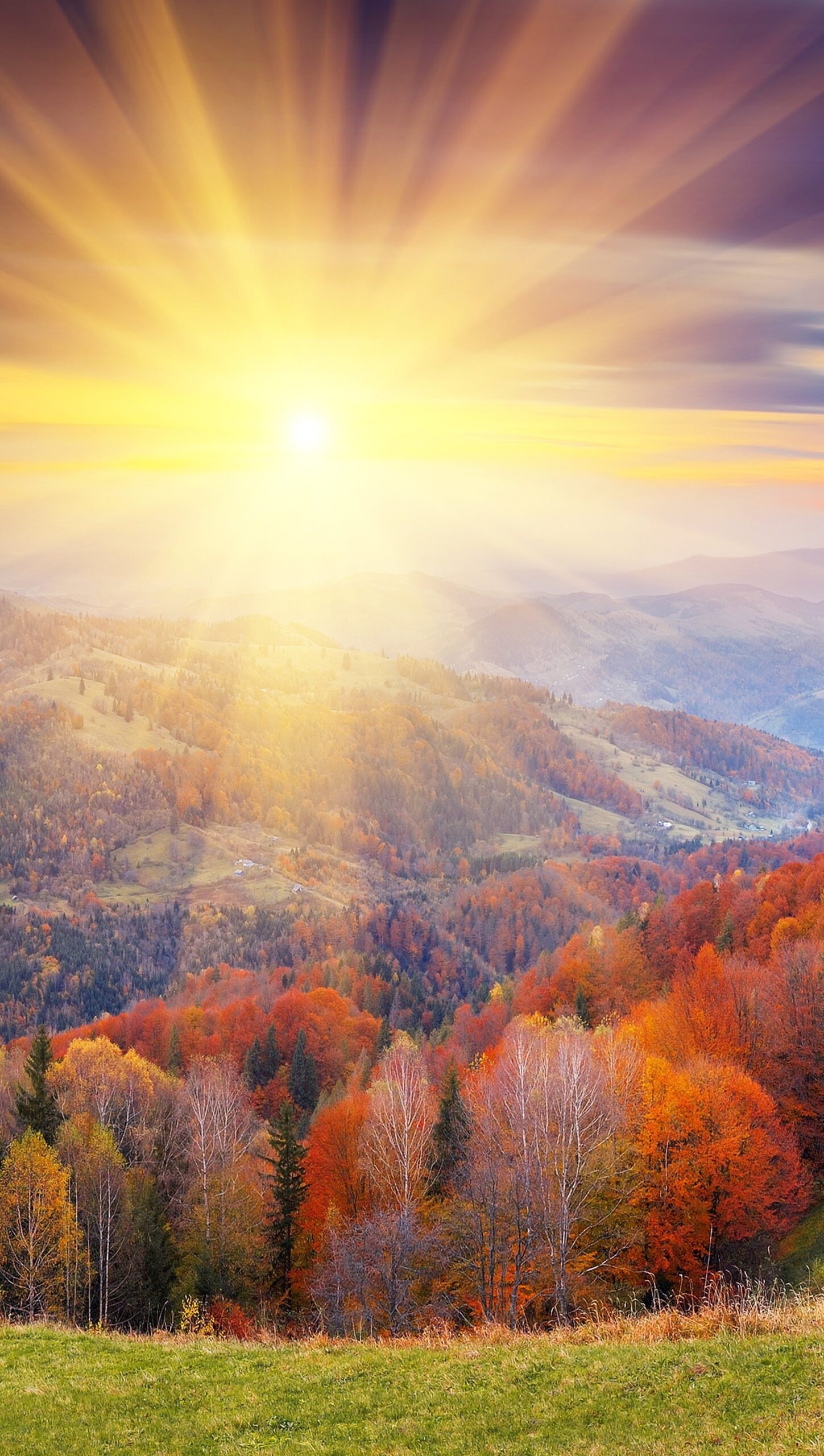 Amanecer en el bosque durante el otoño