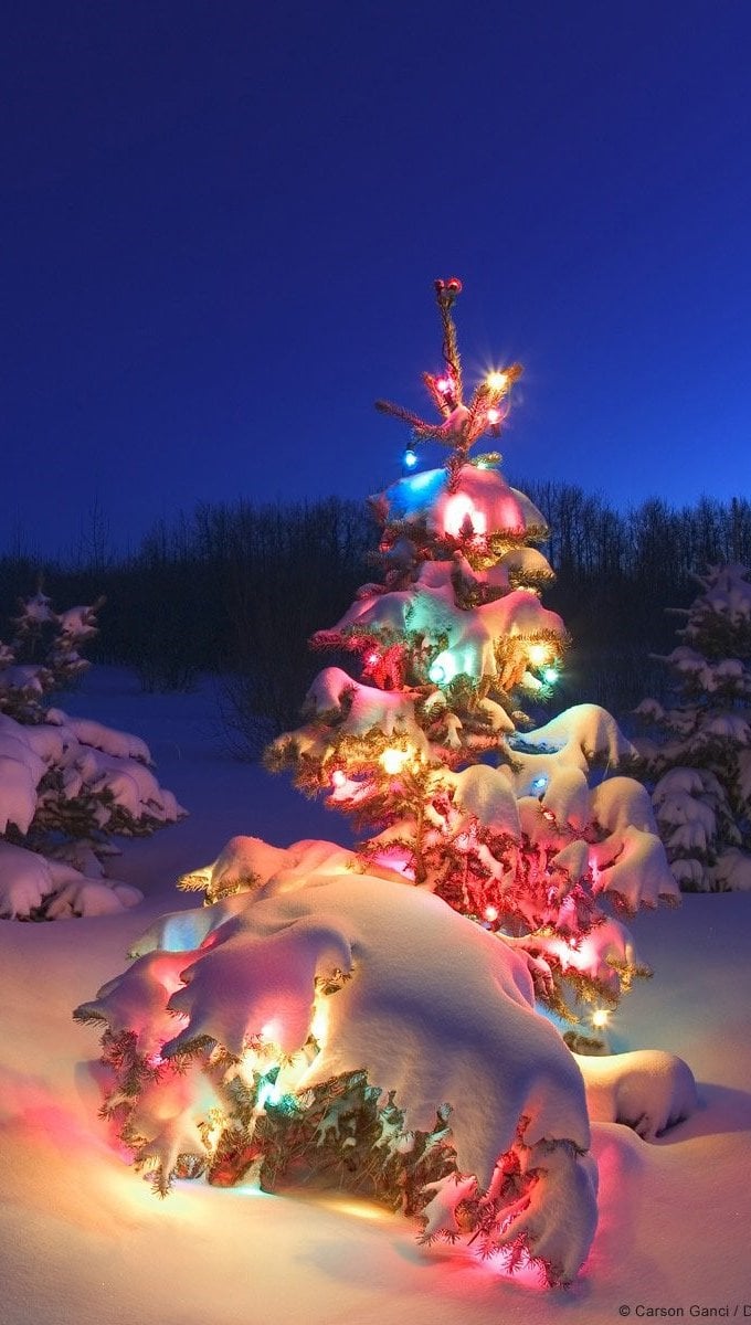 Árbol de Navidad con luces en el Polo Norte