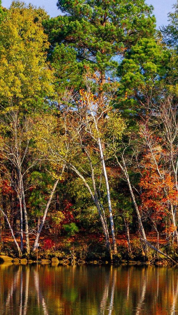 Arboles durante el otoño reflejados en lago