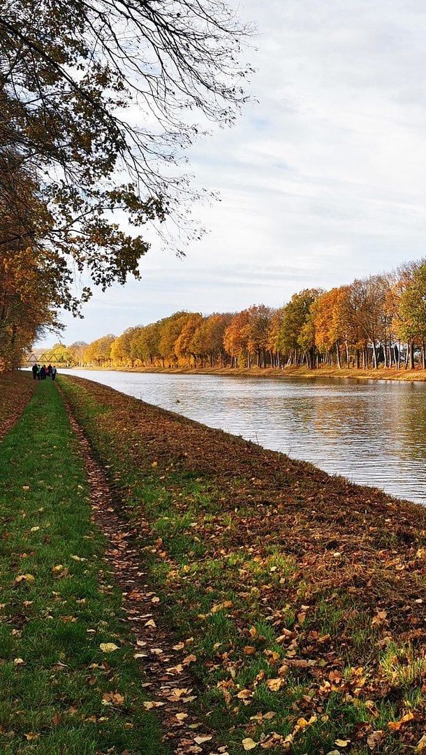 Arboles en el otoño junto a rio