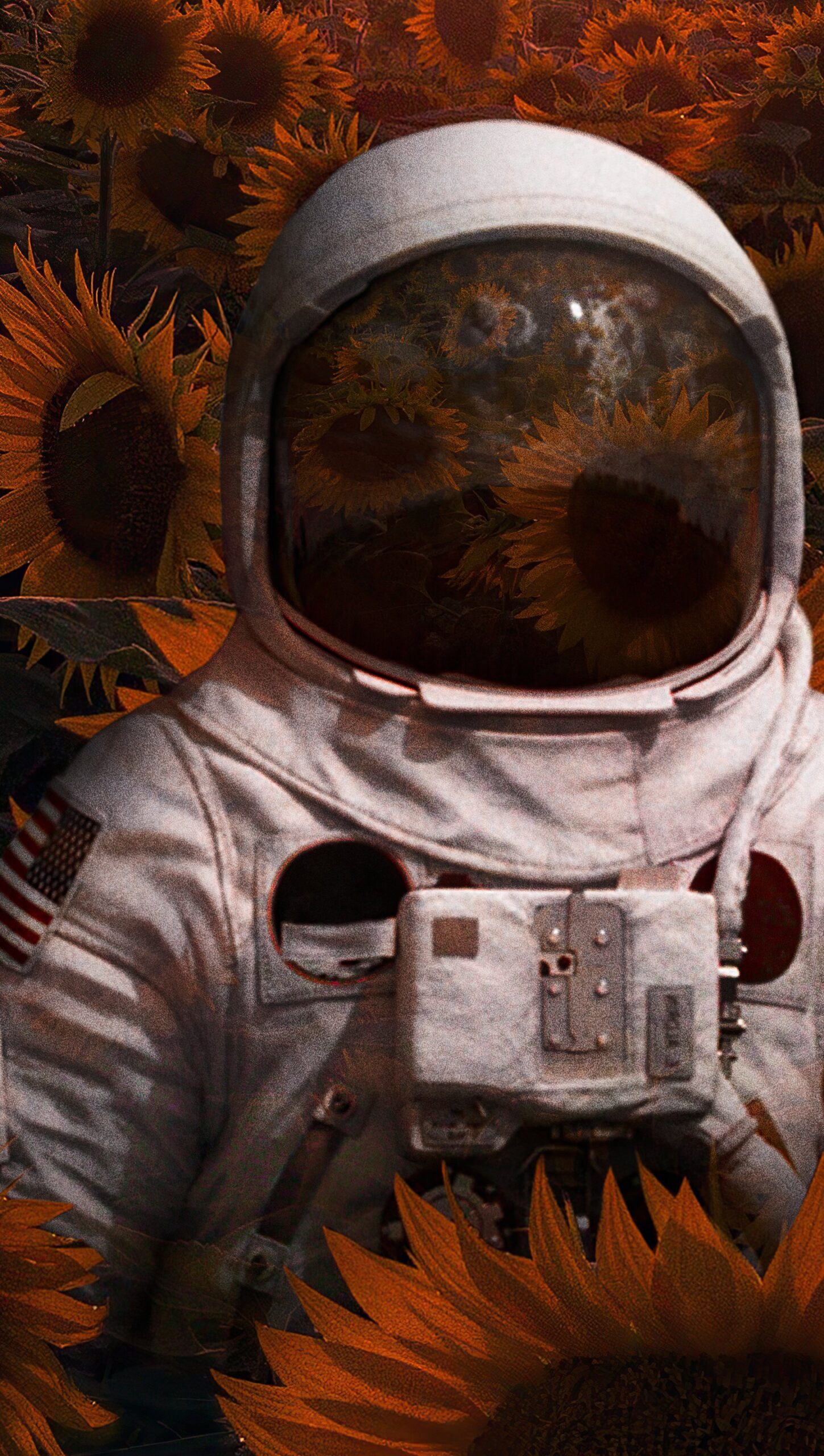 Astronauta en campo de girasoles