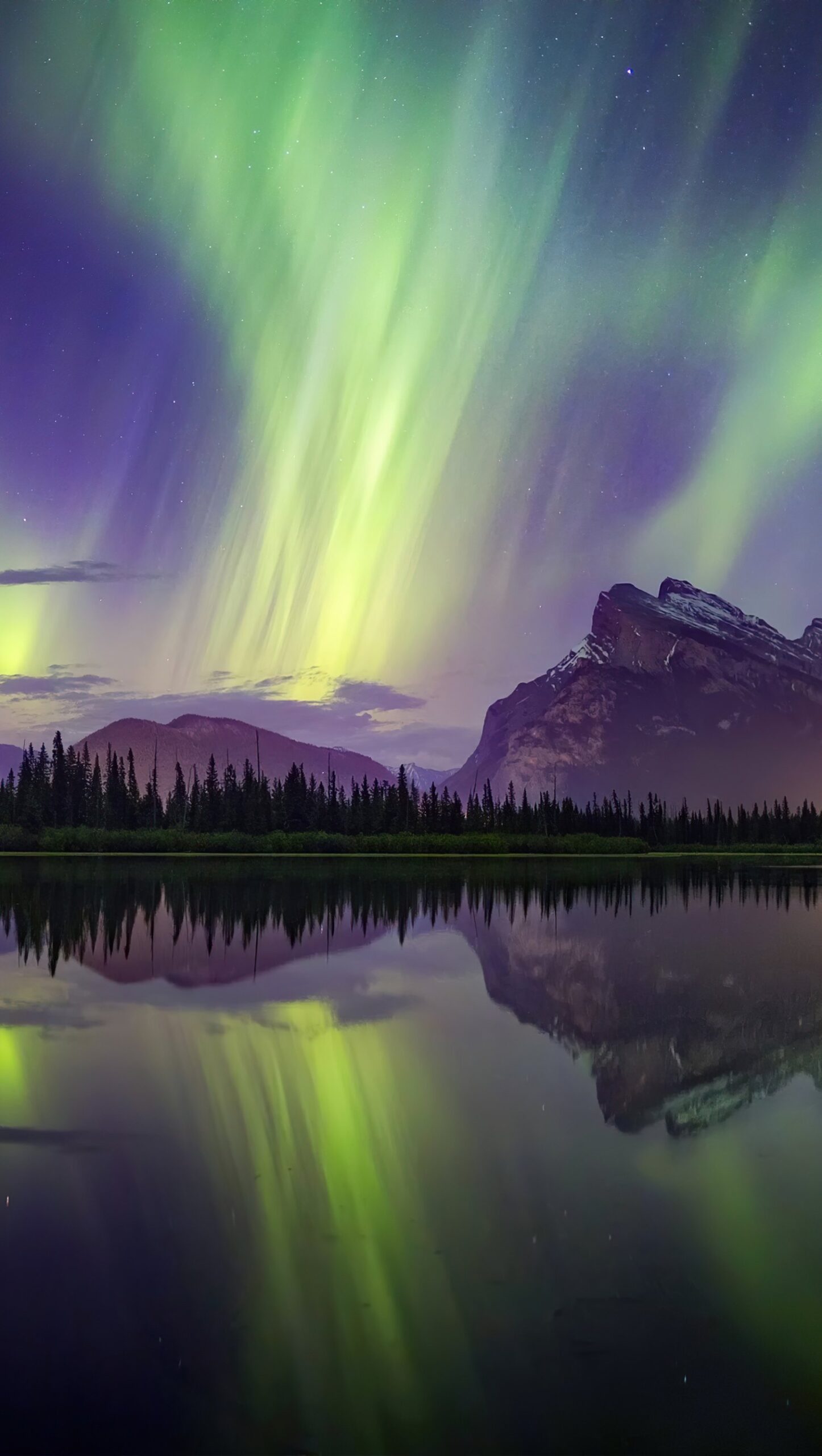 Auroras Polares en bosque junto a lago y montañas