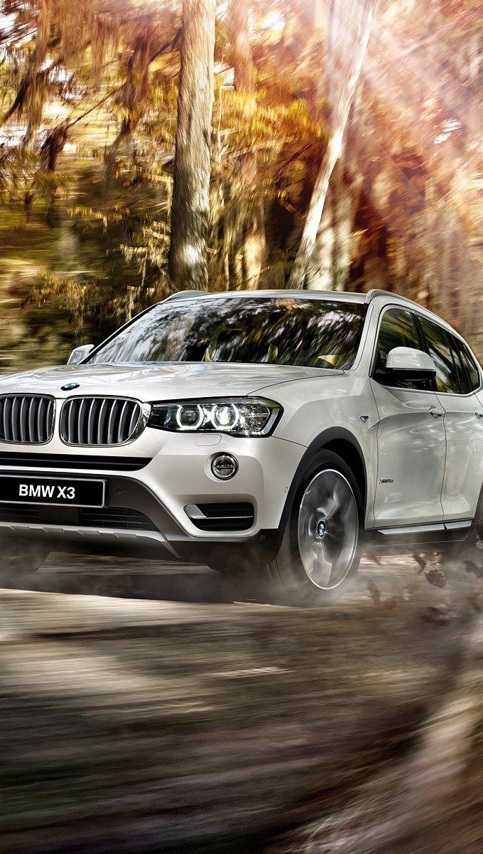 BMW X3 F25