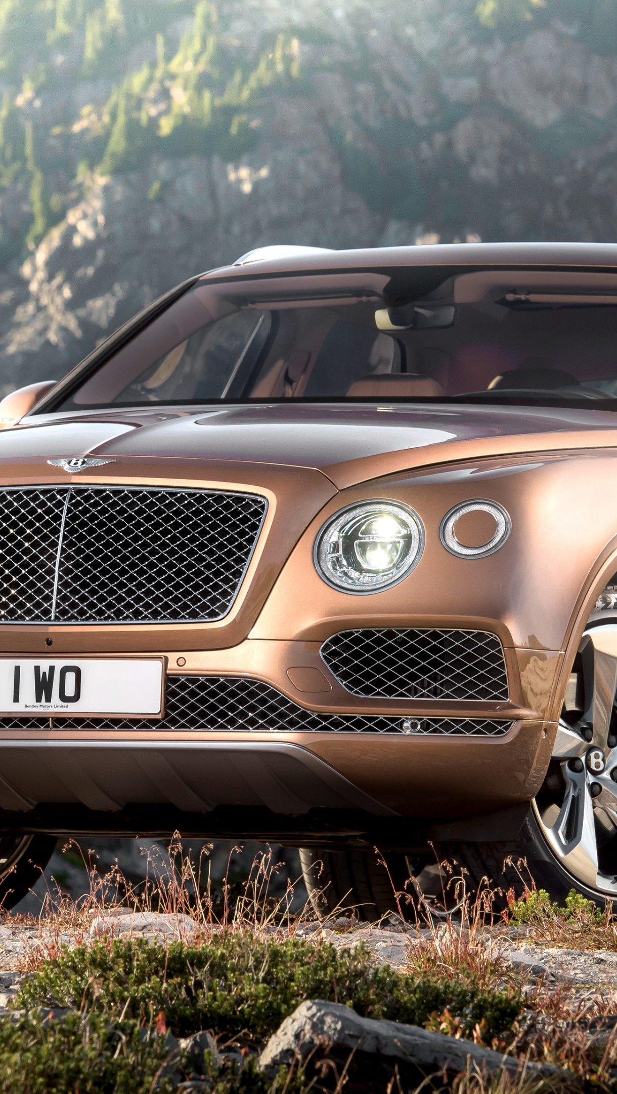 Bentley Bentayga café de lado