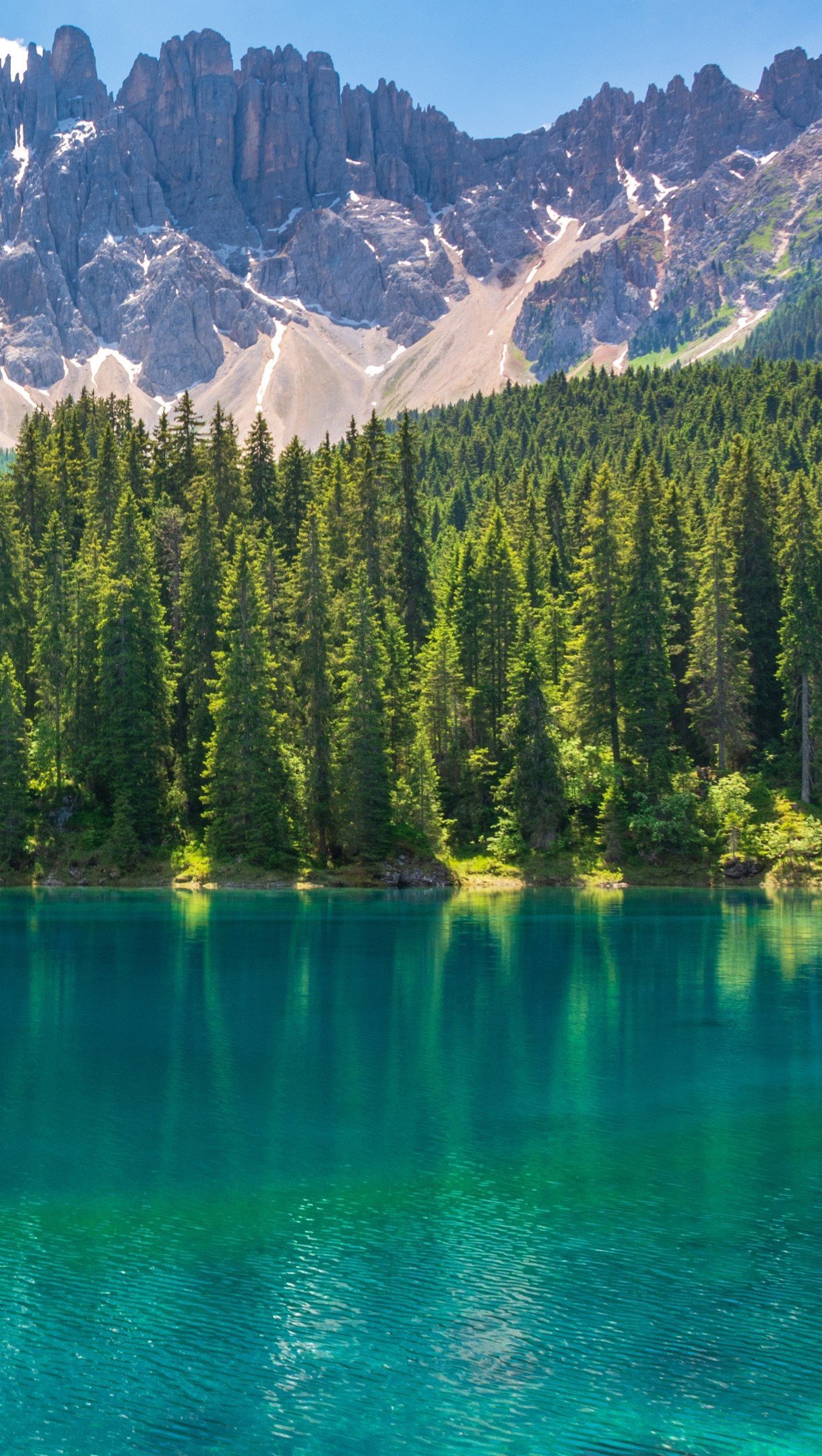 Bosque con lago azulado y montañas