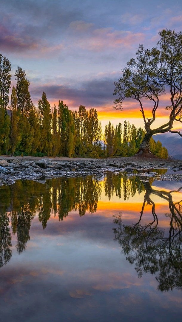 Bosque reflejado en lago al atardecer