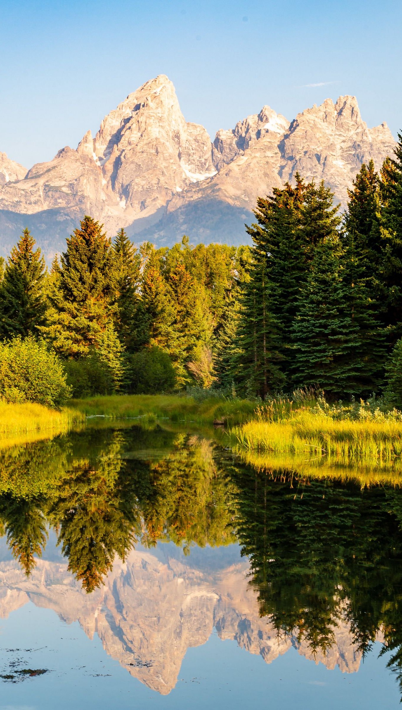 Bosque reflejado en lago con montañas en el fondo