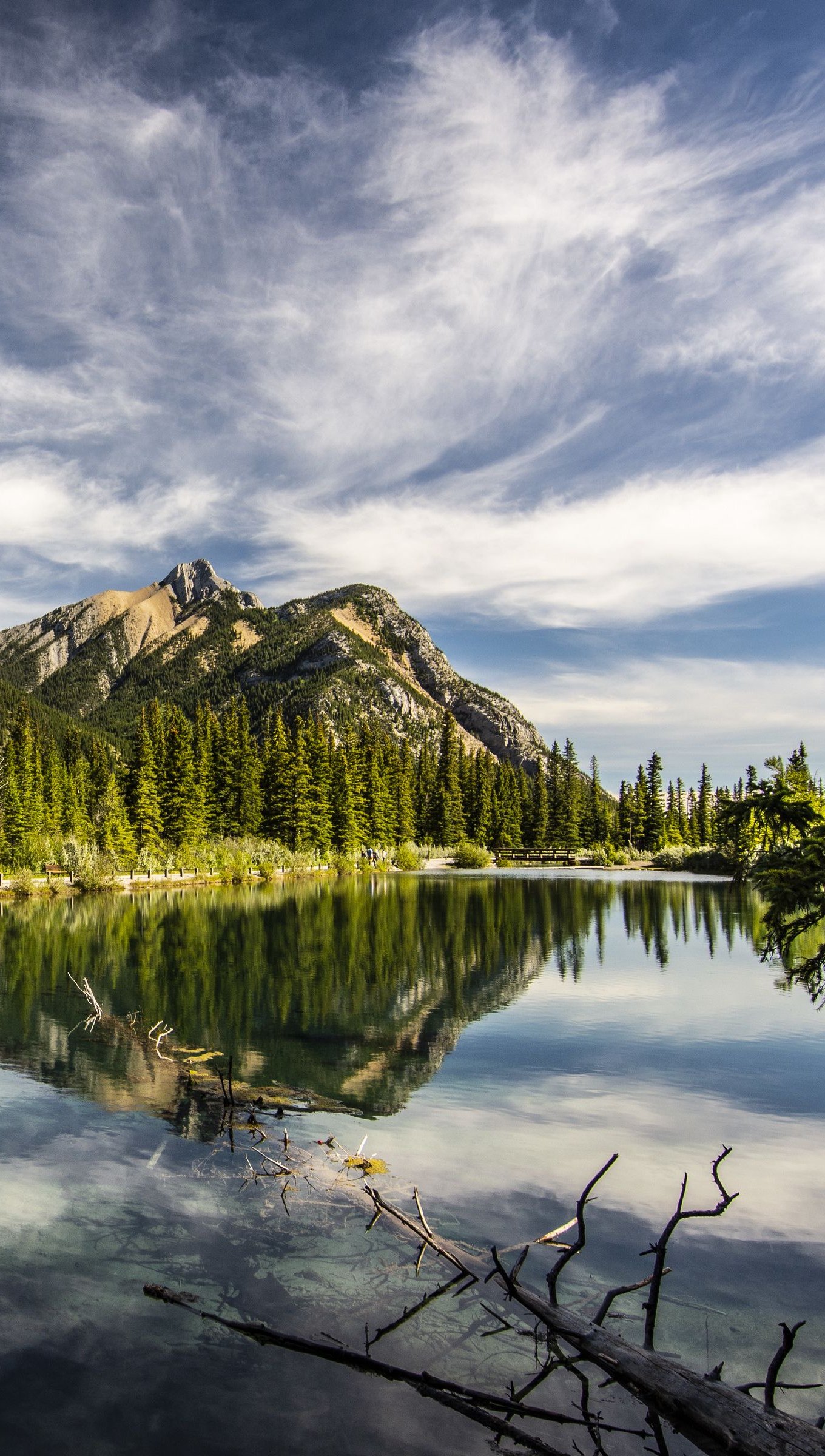 Bosque y montaña reflejados en lago