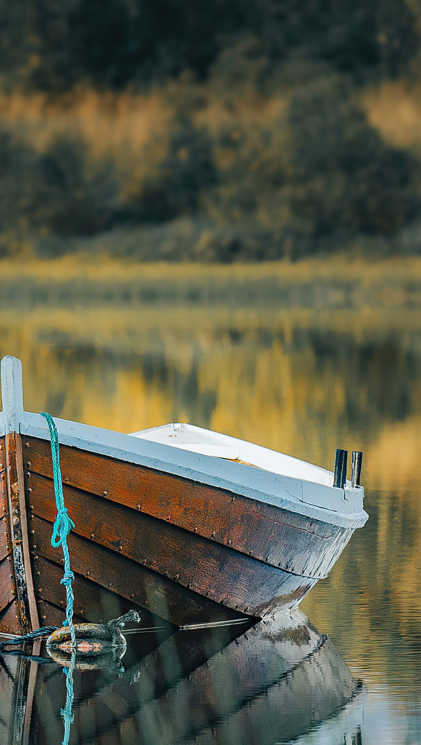 Bote en la naturaleza