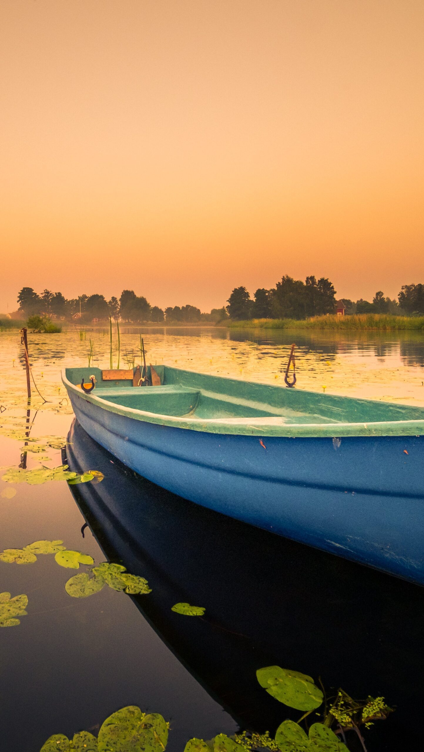 Bote en lago