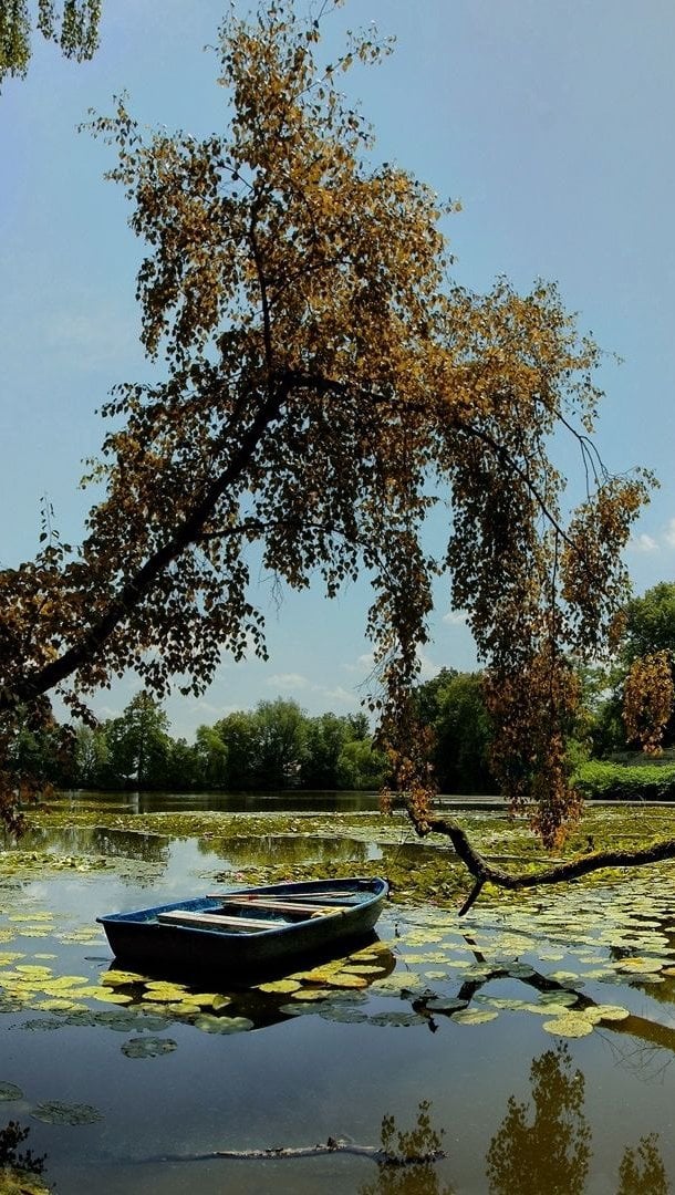 Bote en medio de lago