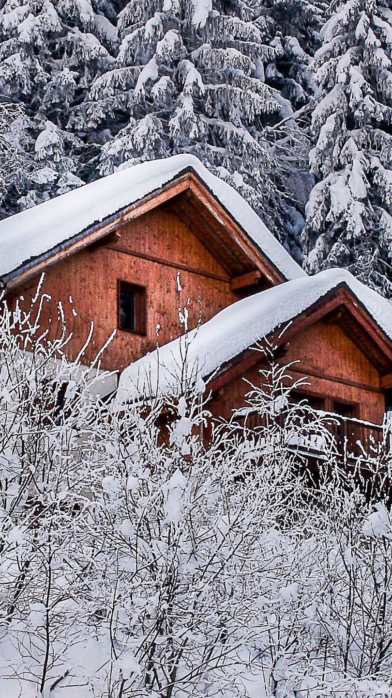 Cabañas en el bosque durante el invierno