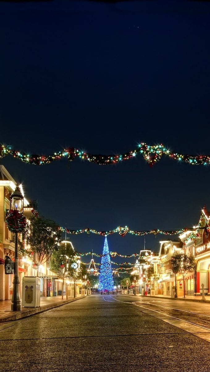 Calles con luces y adornos navidadeños