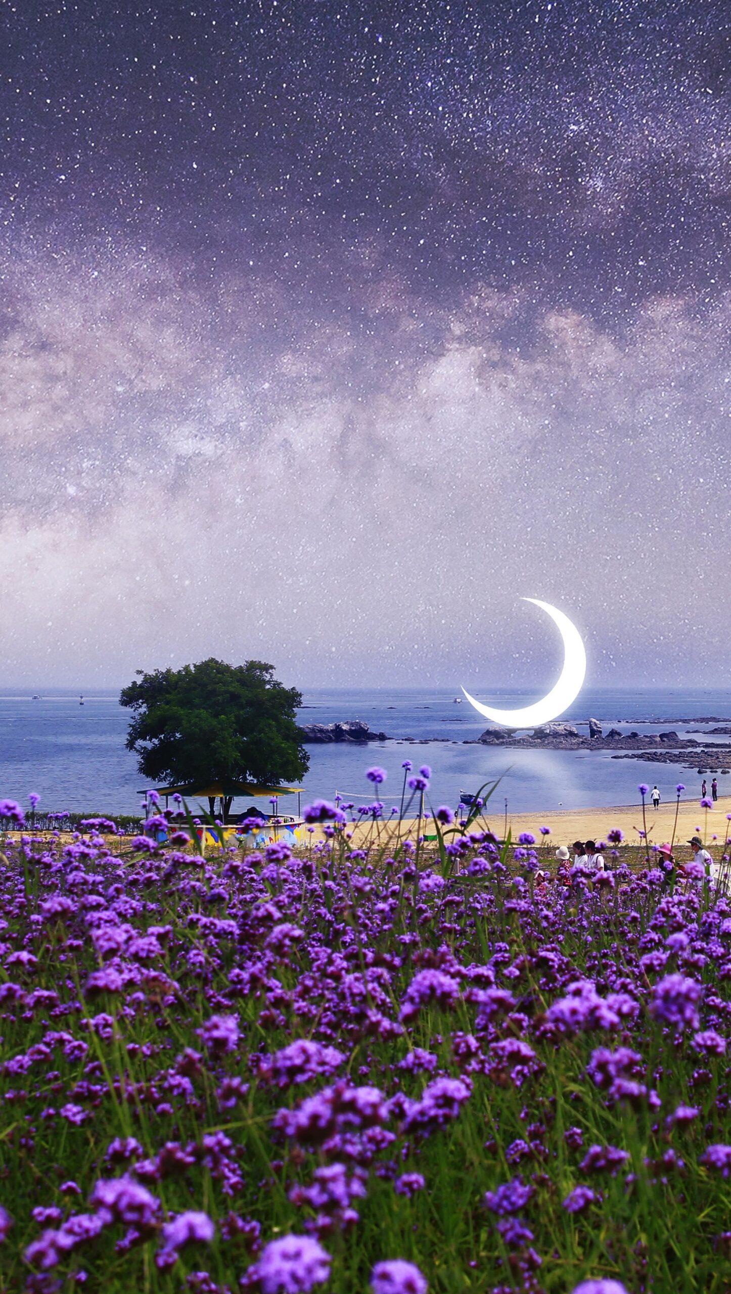 Campo de lavanda en la playa bajo las estrellas