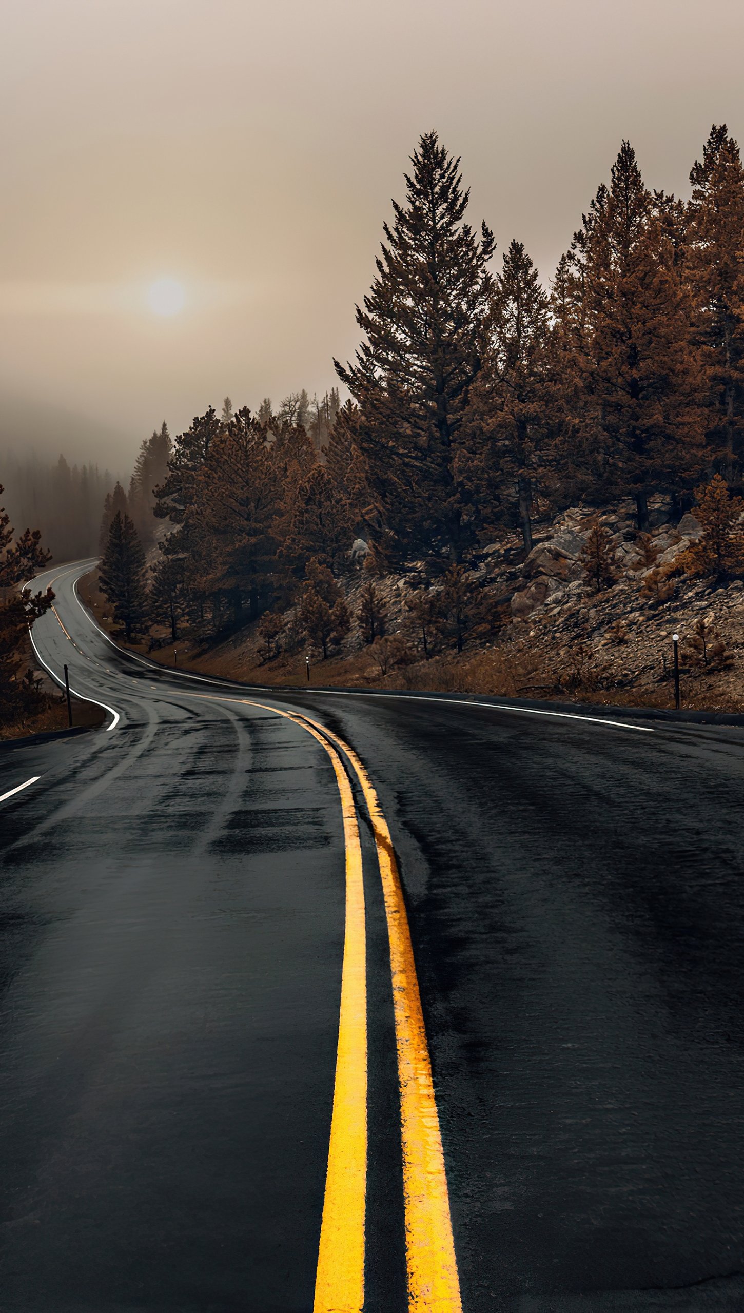 Carretera en otoño