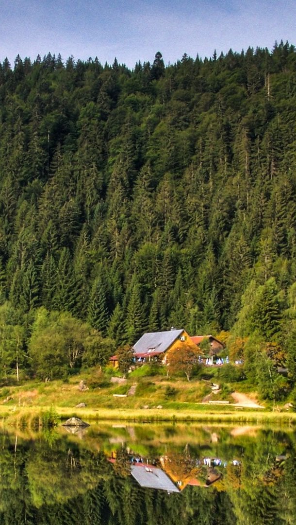 Casa en el bosque