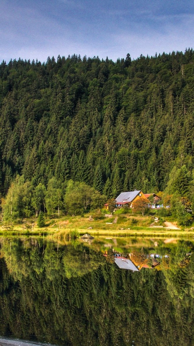 Casa en medio del bosque junto a lago