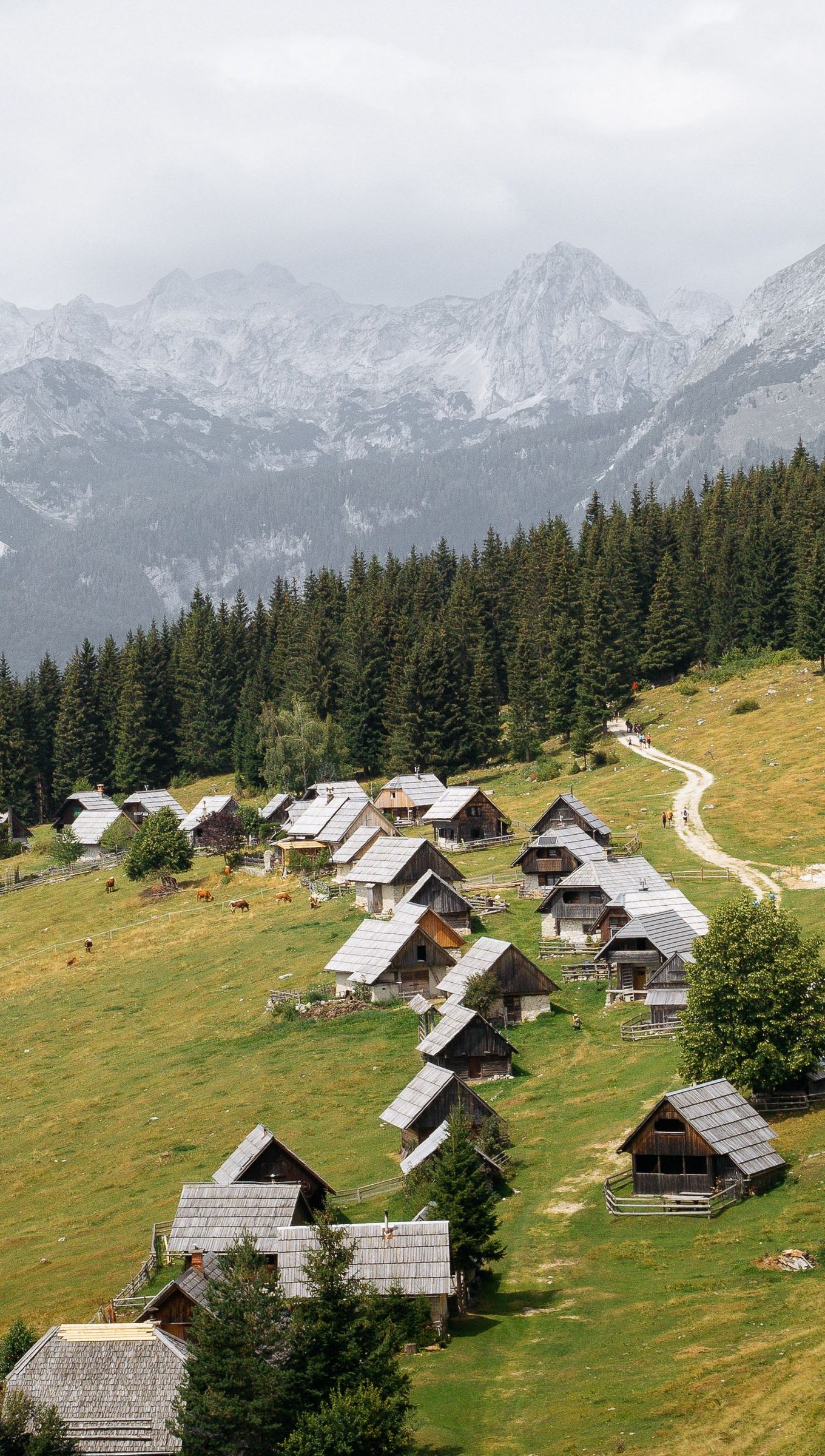 Casas en el bosque