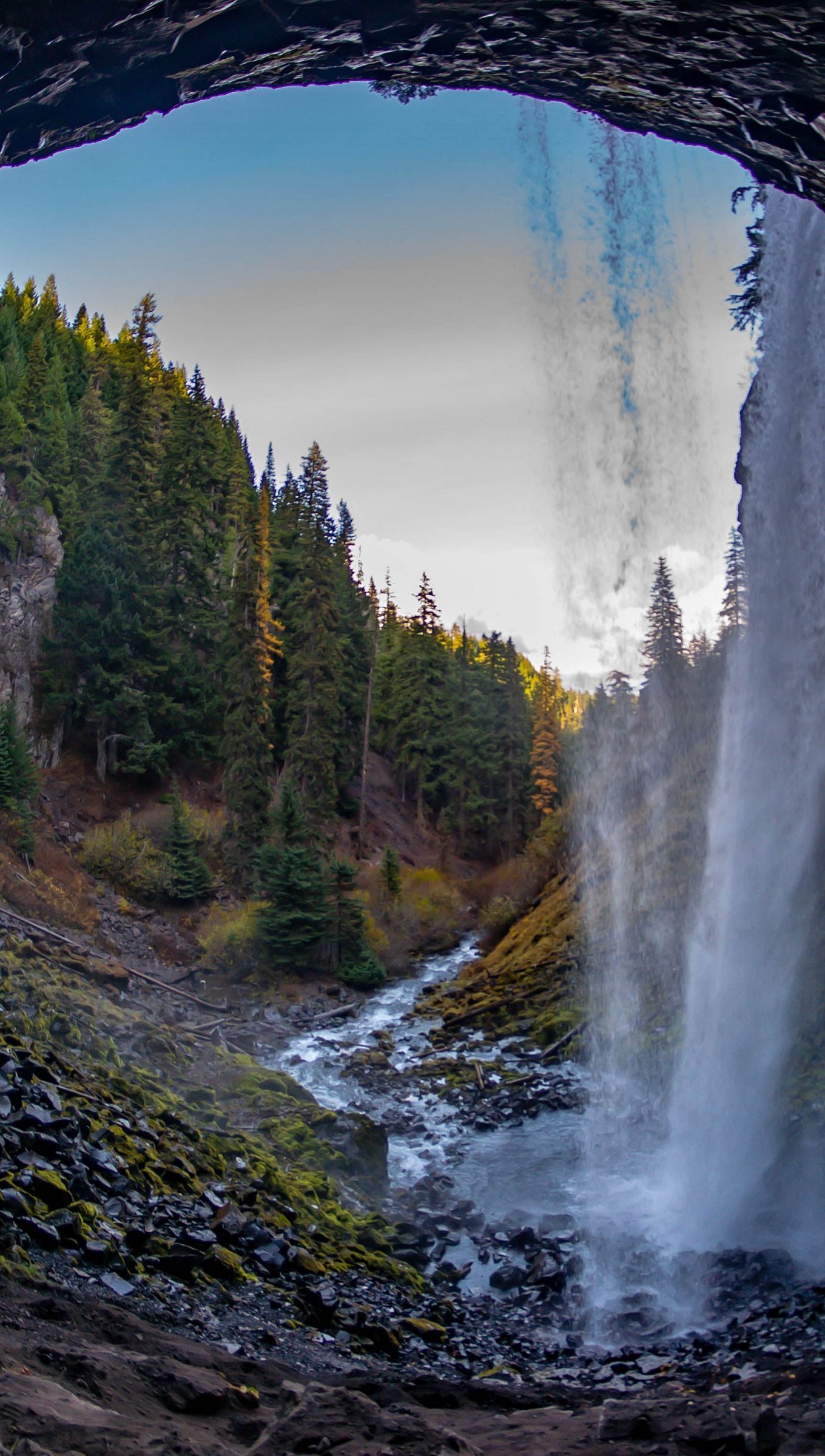 Cascada en bosque