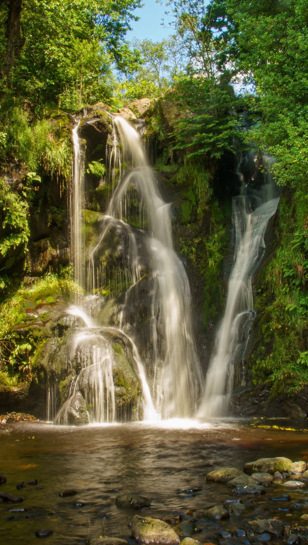 Cascada en la naturaleza