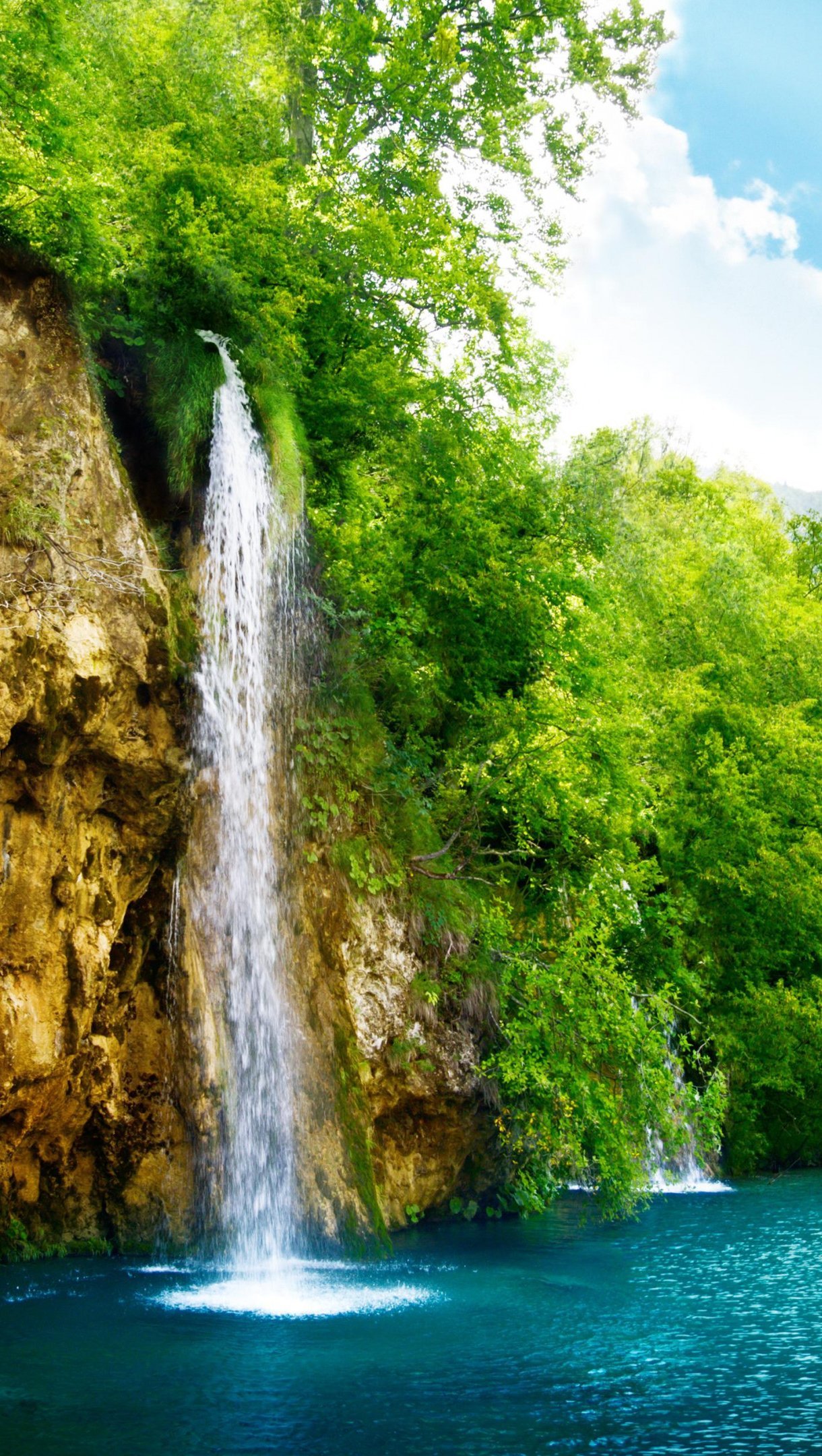 Cascada río en la selva