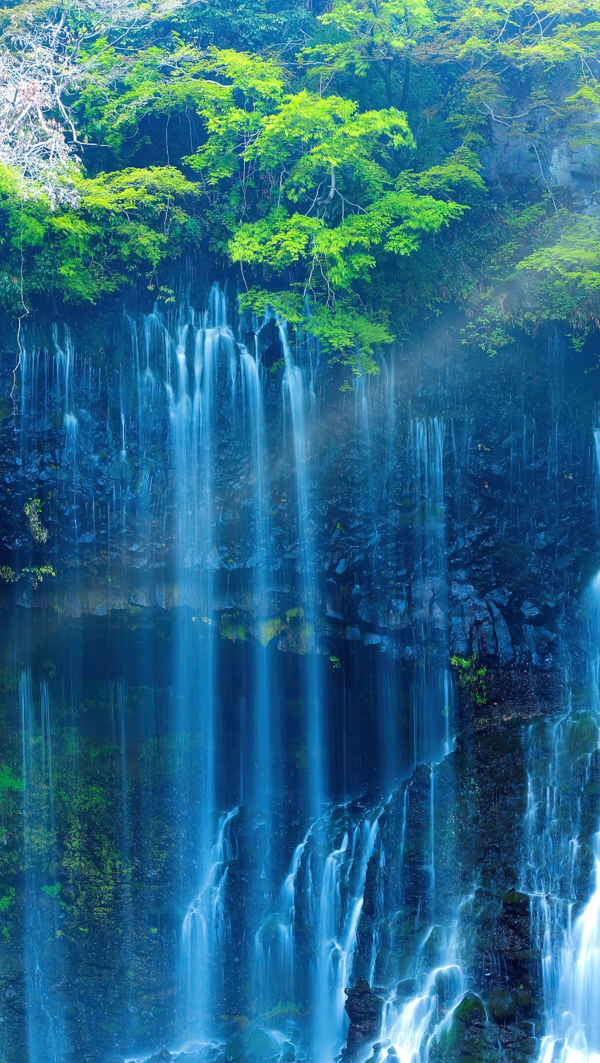 Cascadas en el bosque