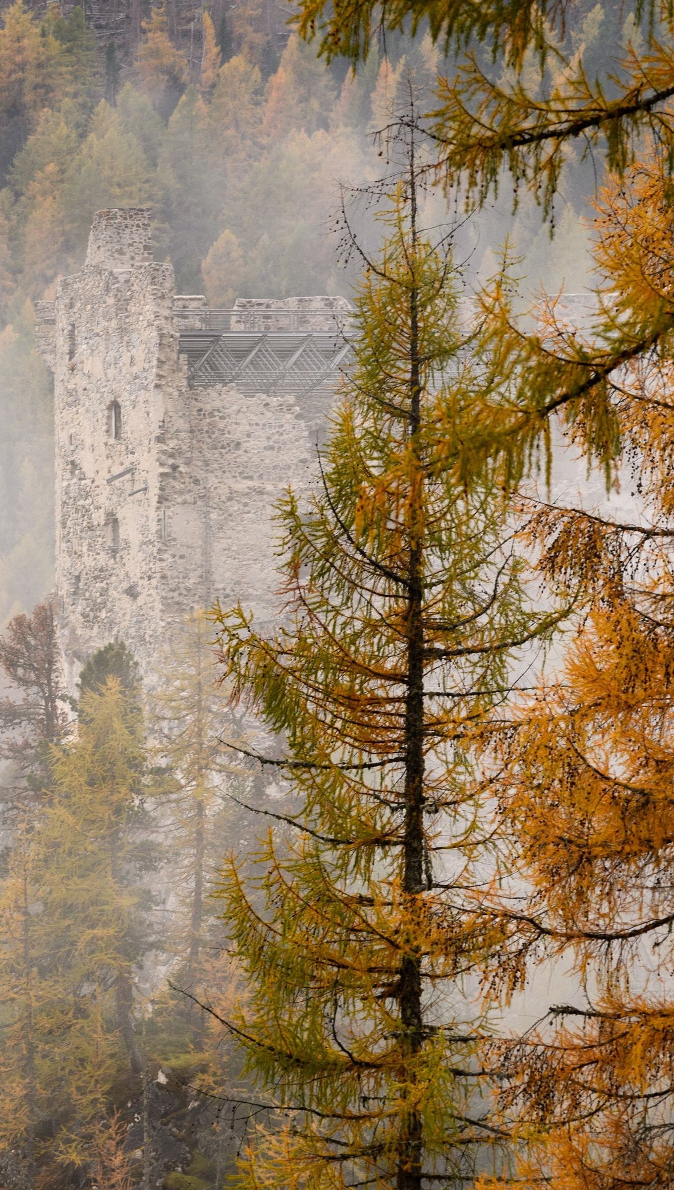 Castillo en el bosque