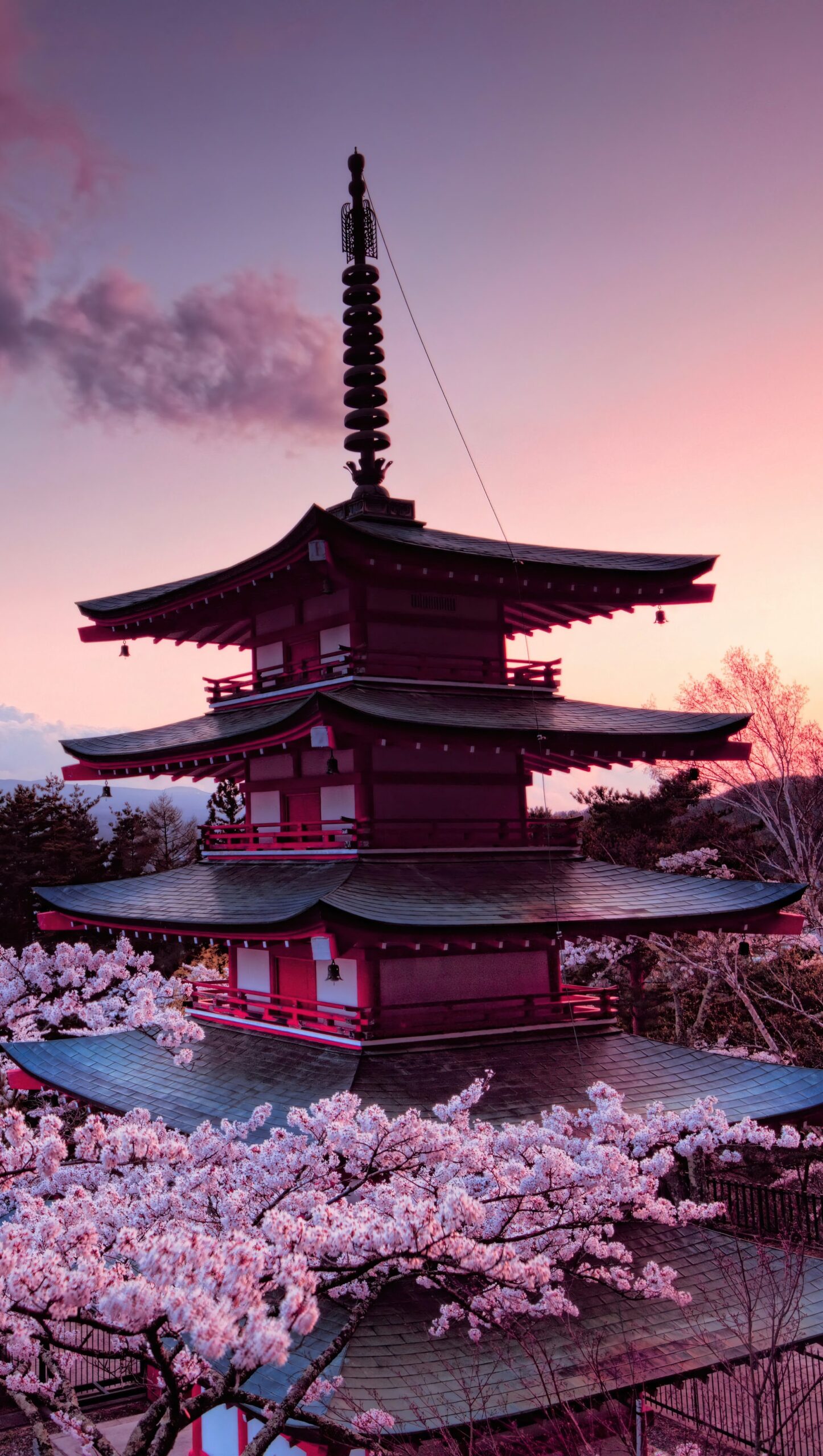 Cerezo en castillo japones en el monte Fuji