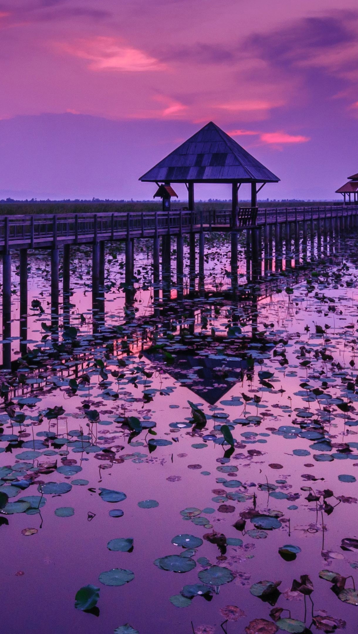 Cielo morado en muelle