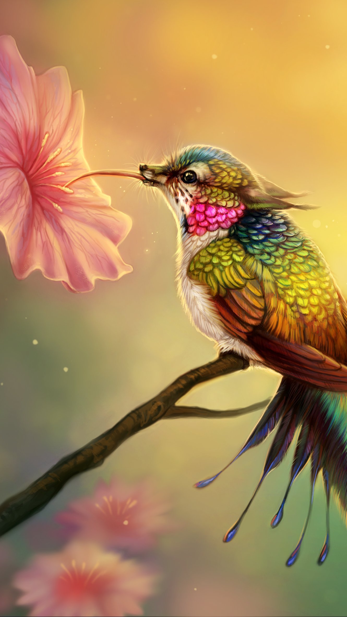 Colibrí de fantasía