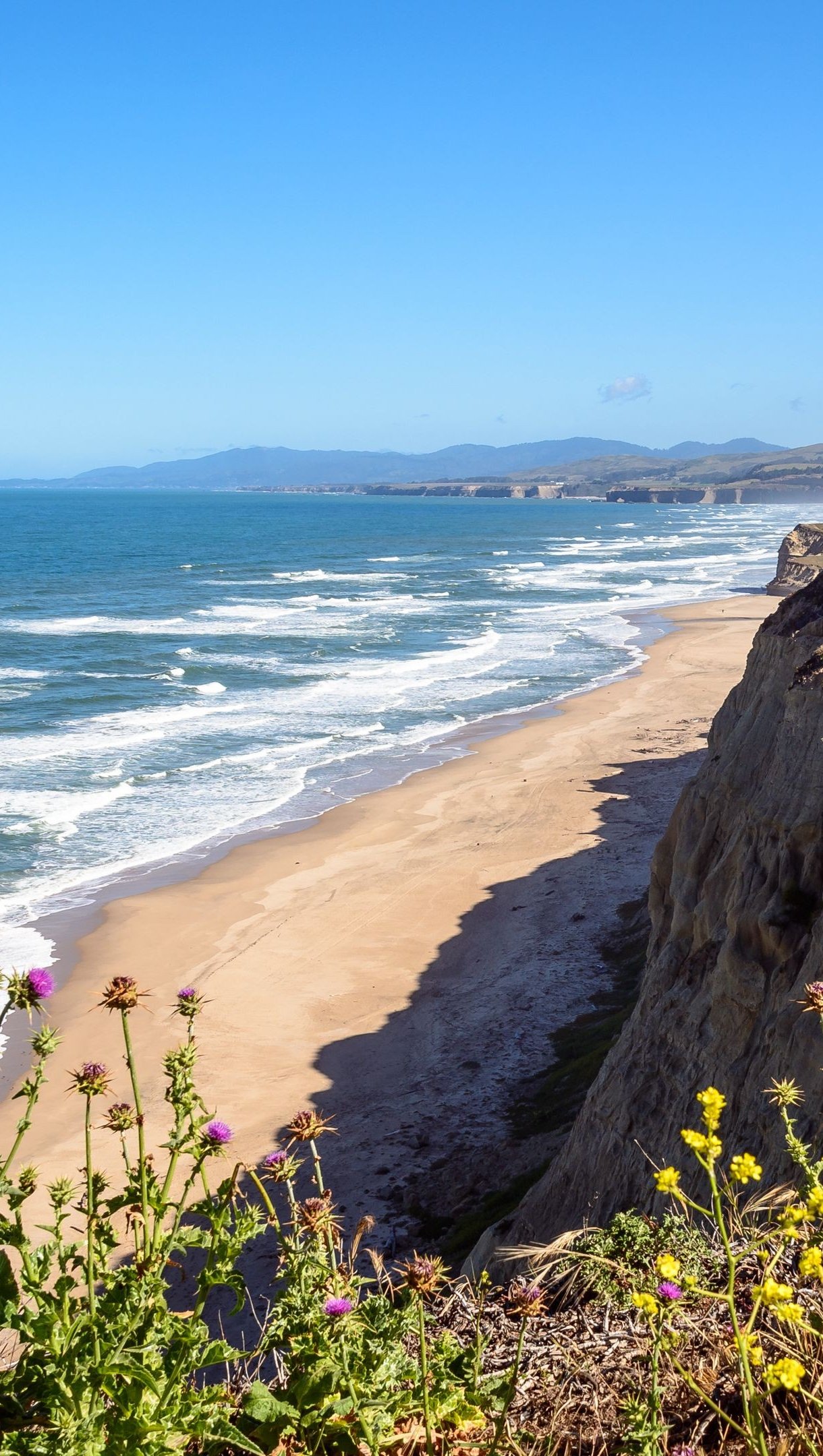 Costa con flores amarillas