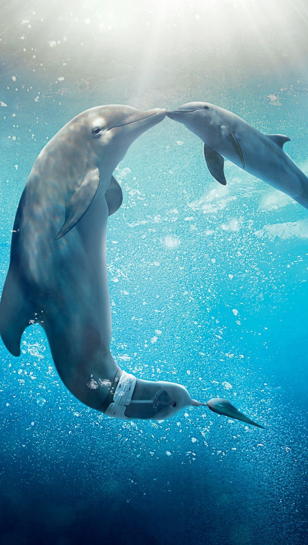 Delfines