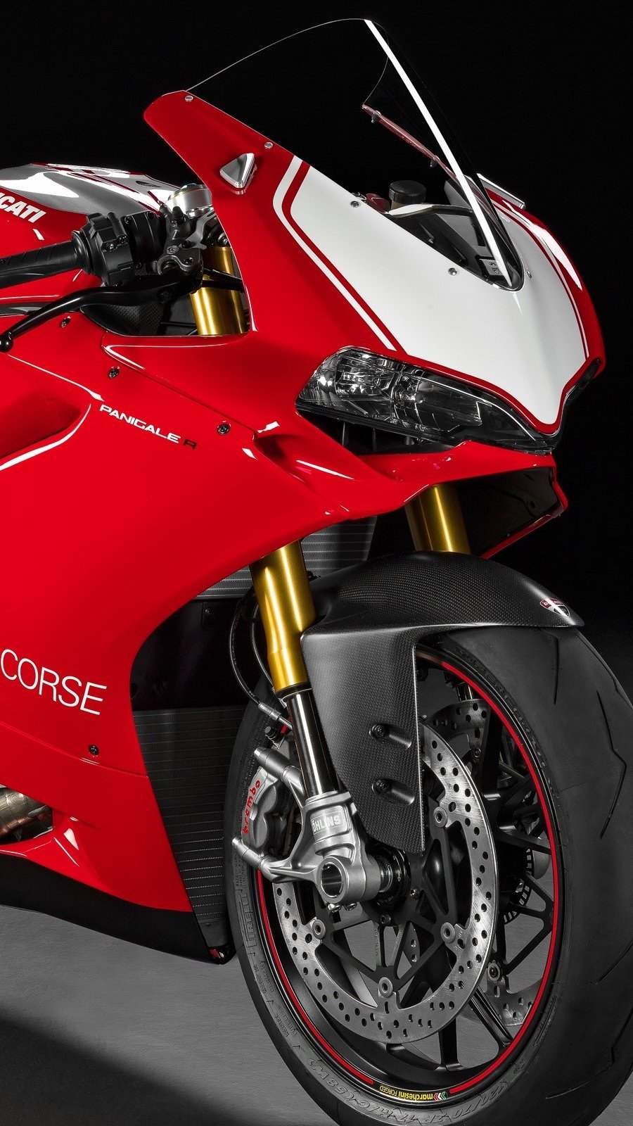 Ducati Panigale R superbike roja