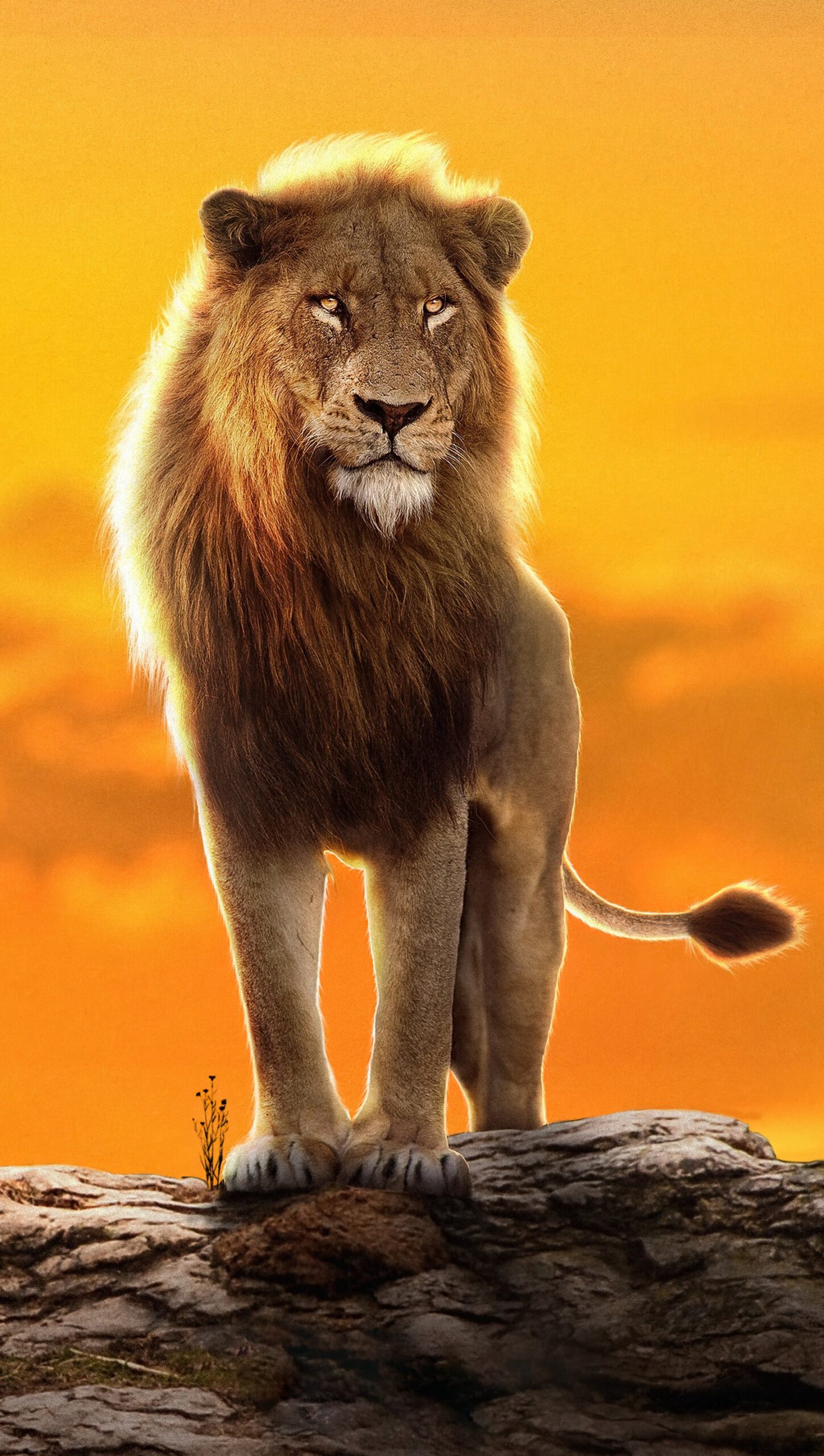 El Rey Leon Simba