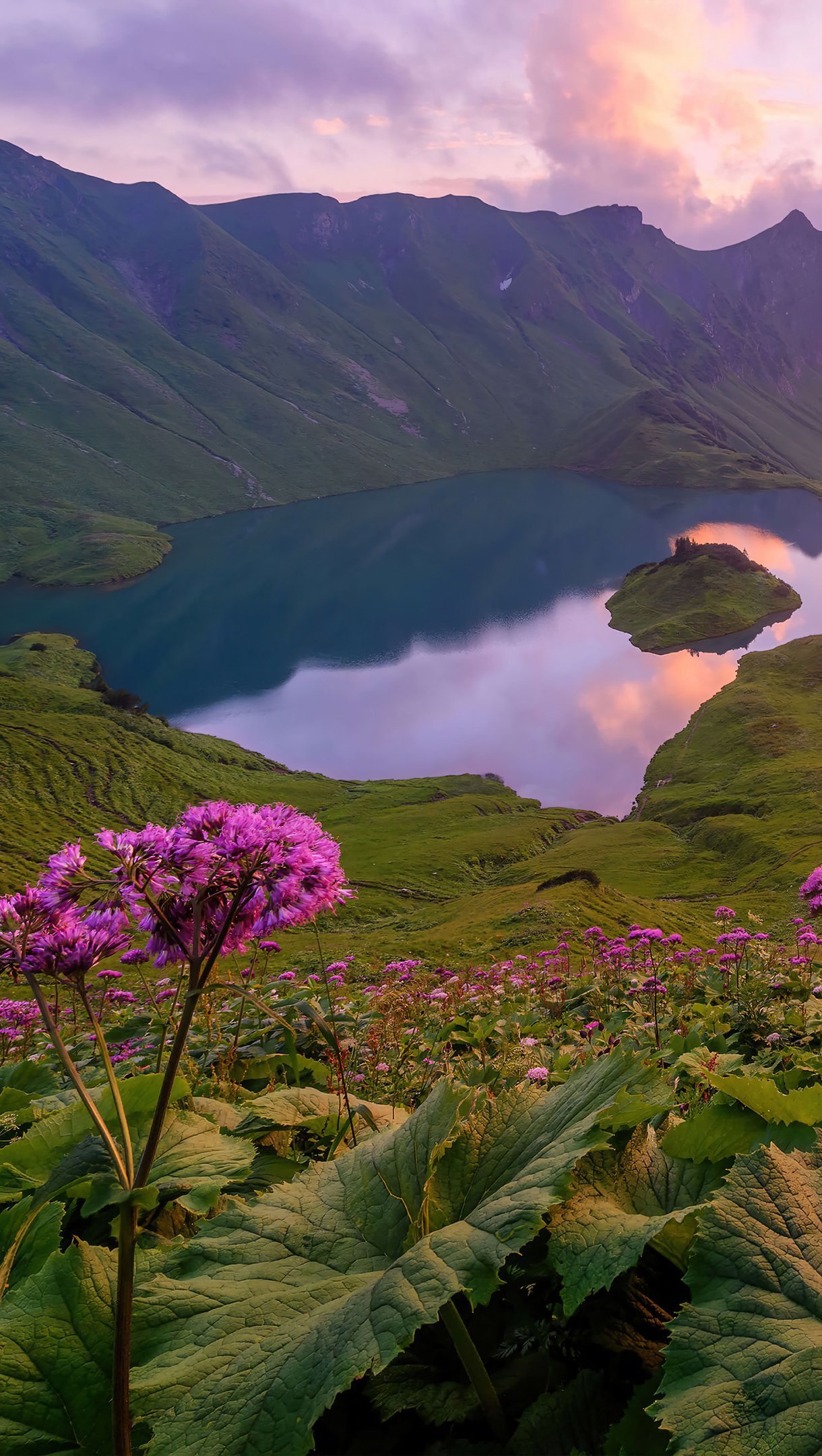 Flores a través de montañas al atardecer