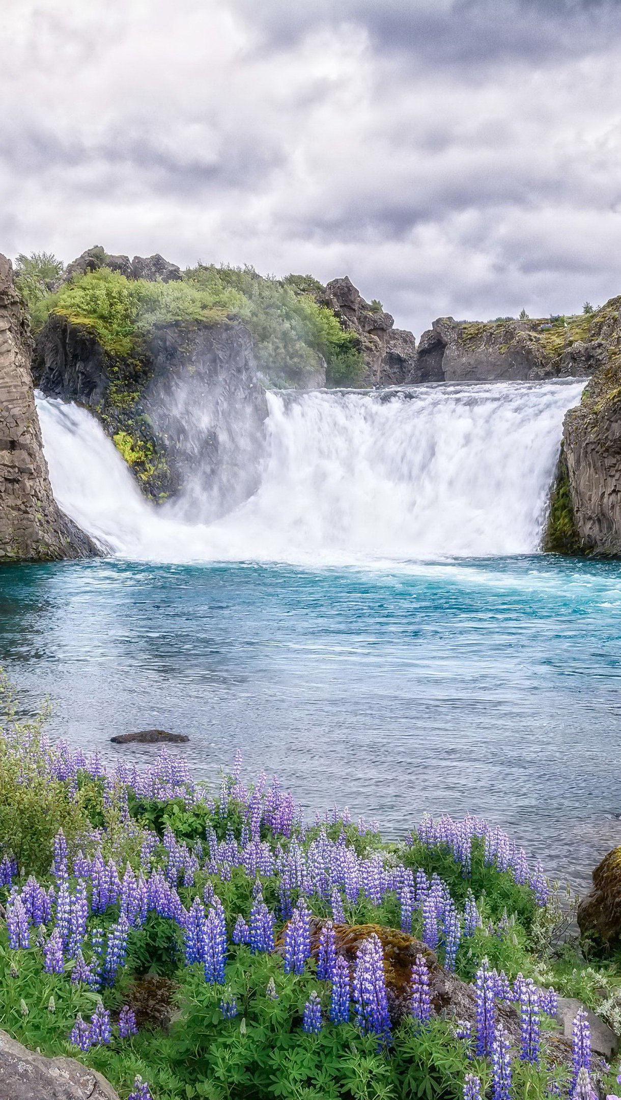 Flores en lago y montañas