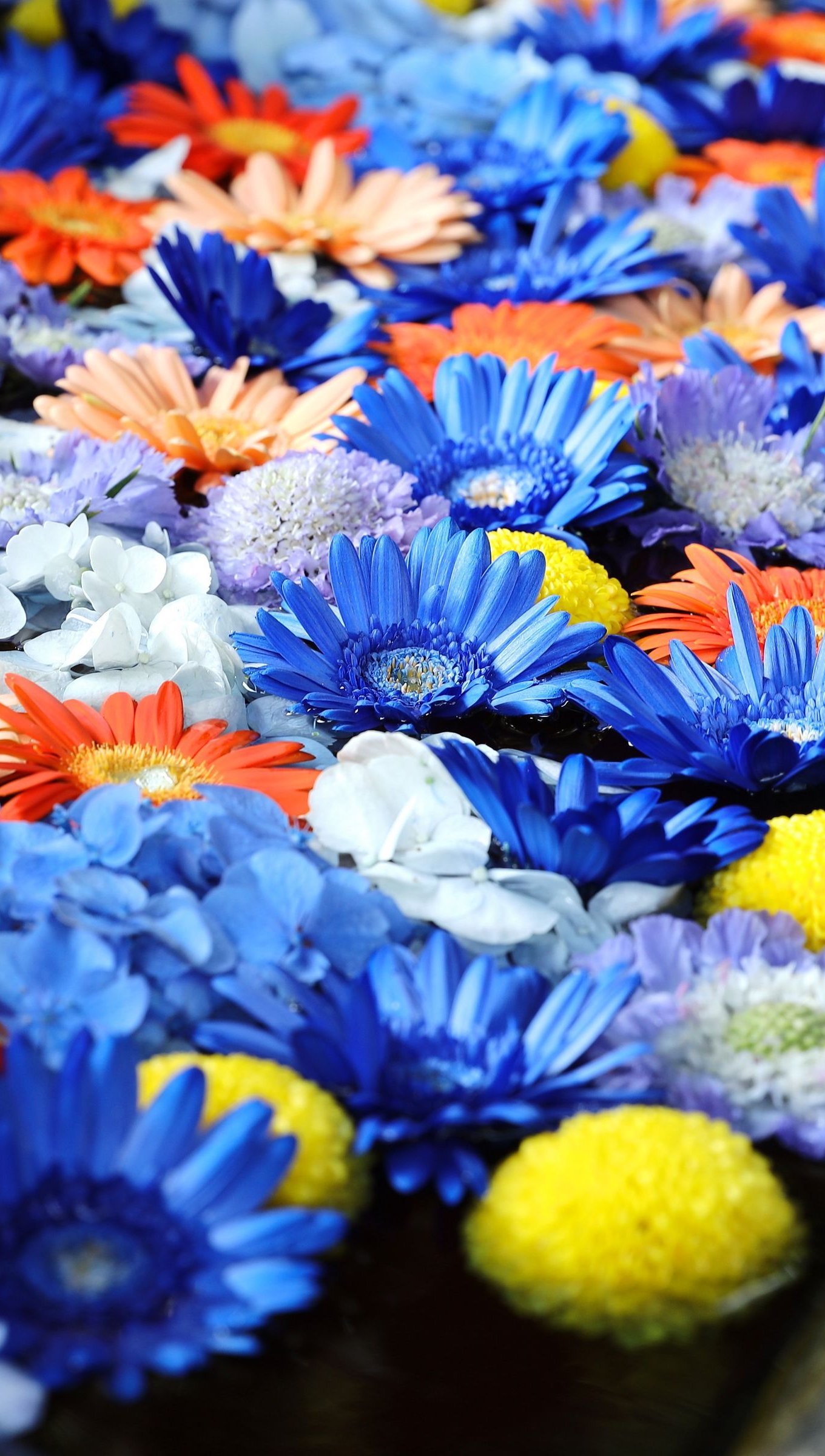 Flores flotando en agua