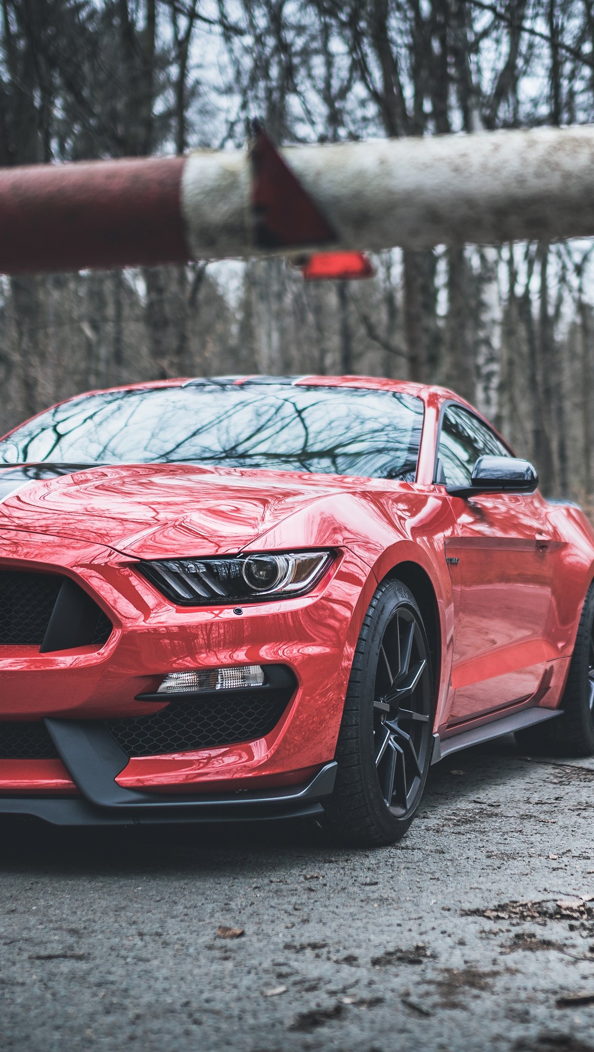 Ford Mustang Shelby GT350 rojo con rayas negras