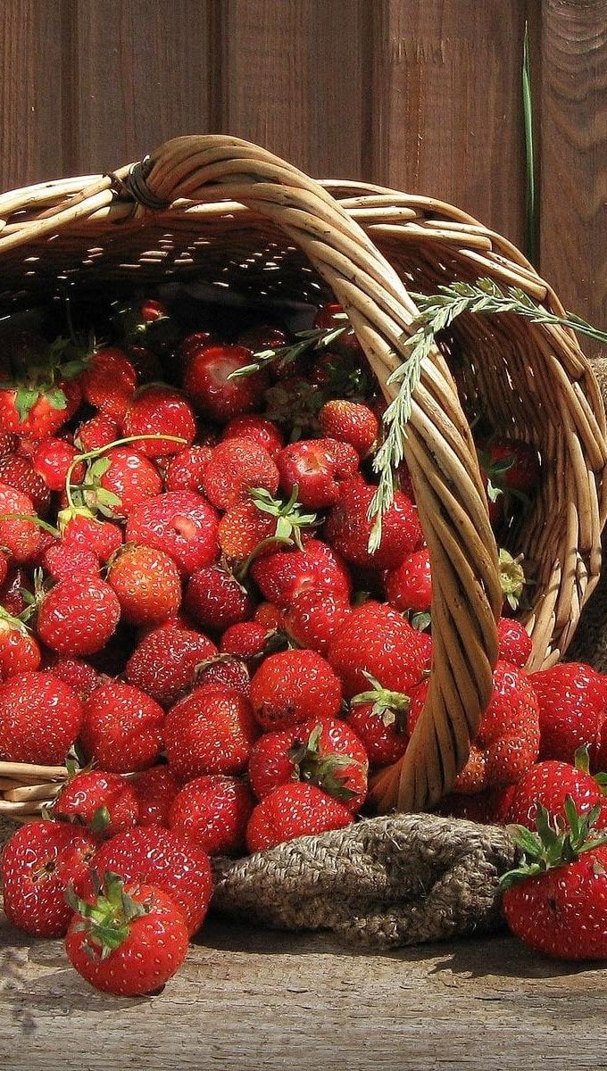 Fresas en una canasta