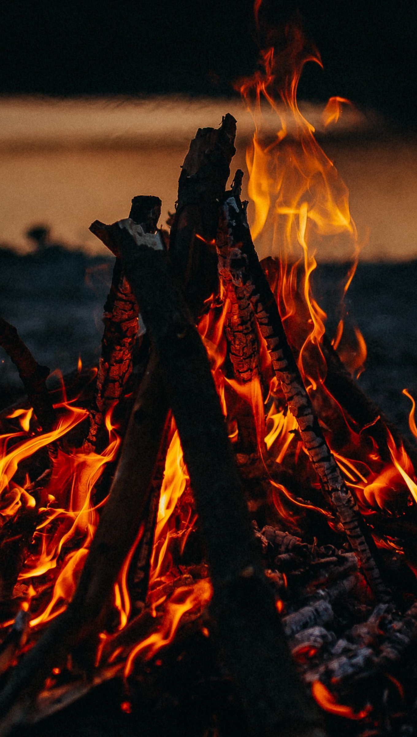 Fuego de una fogata