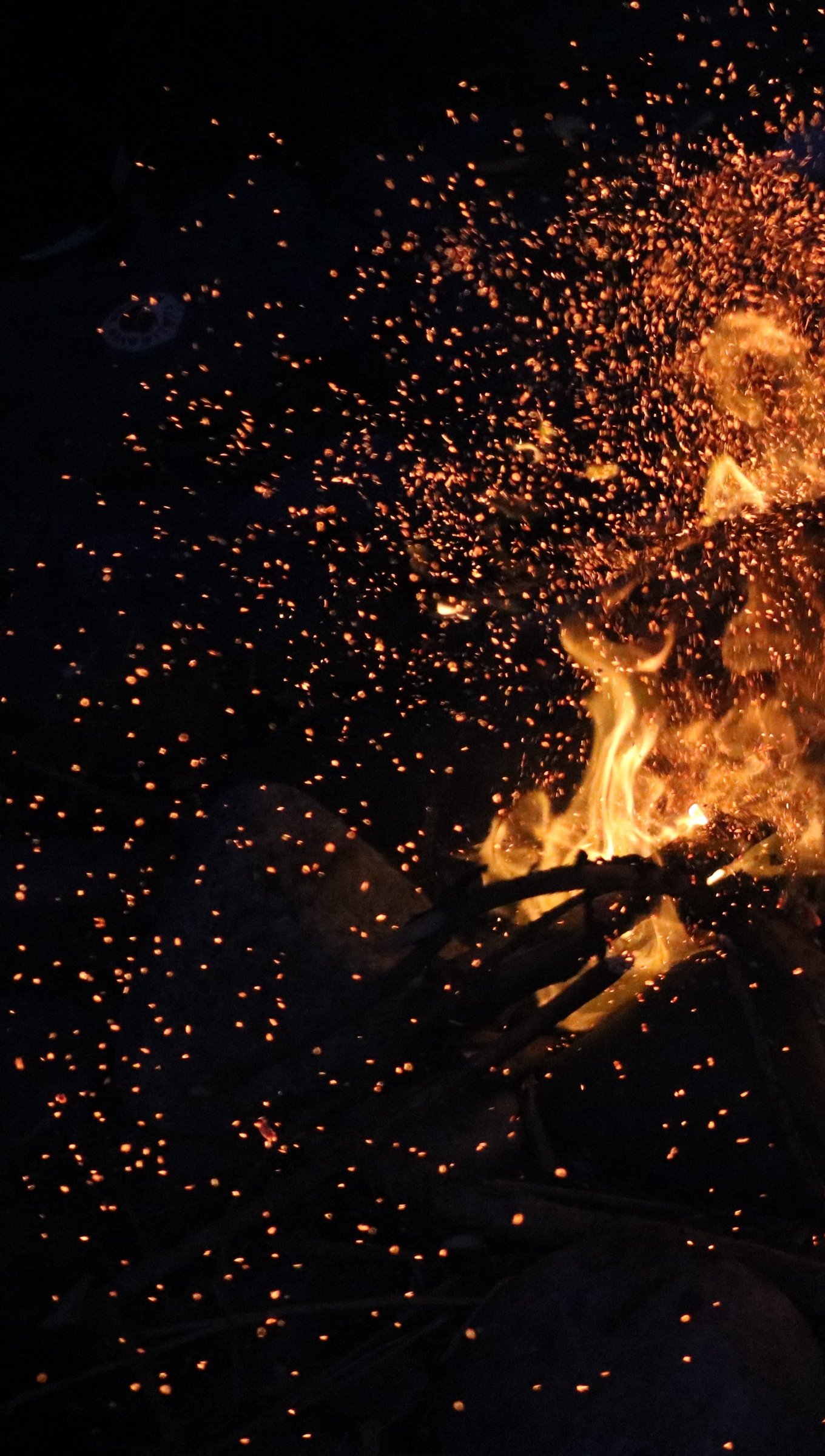 Fuego en una fogata