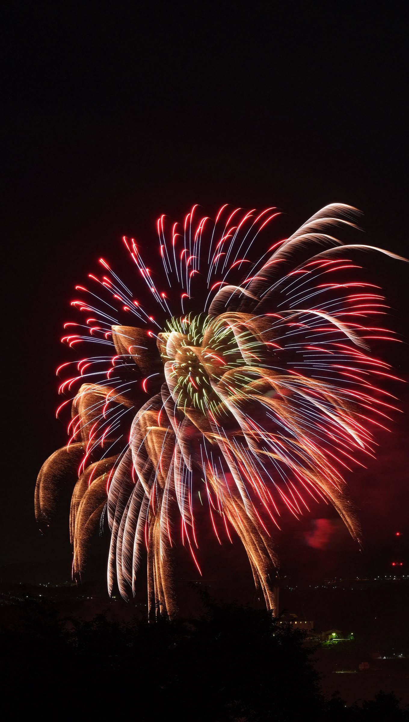 Fuegos artificiales por la noche