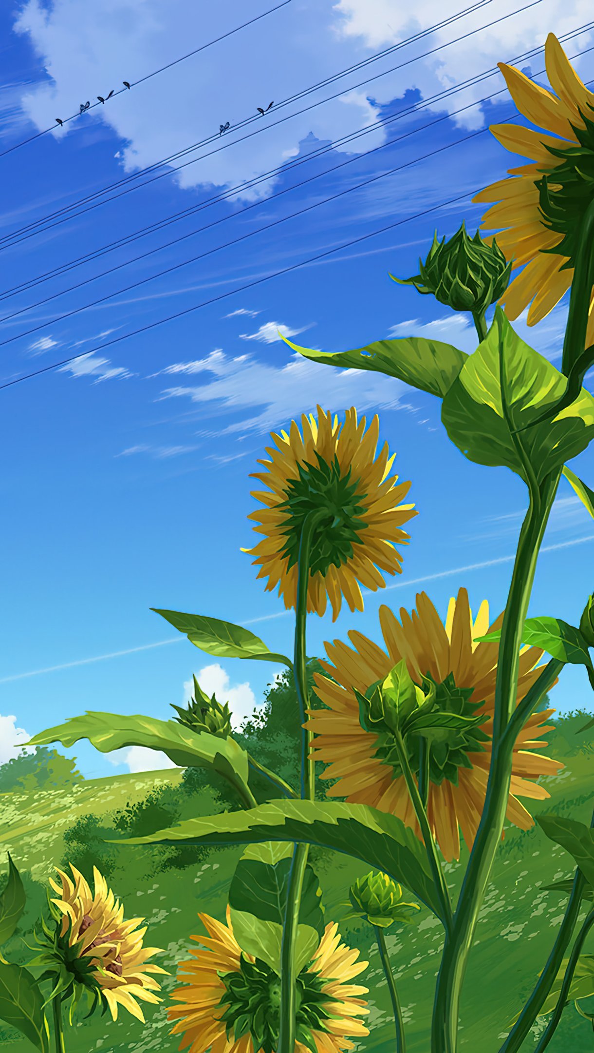 Girasoles en día de verano Anime