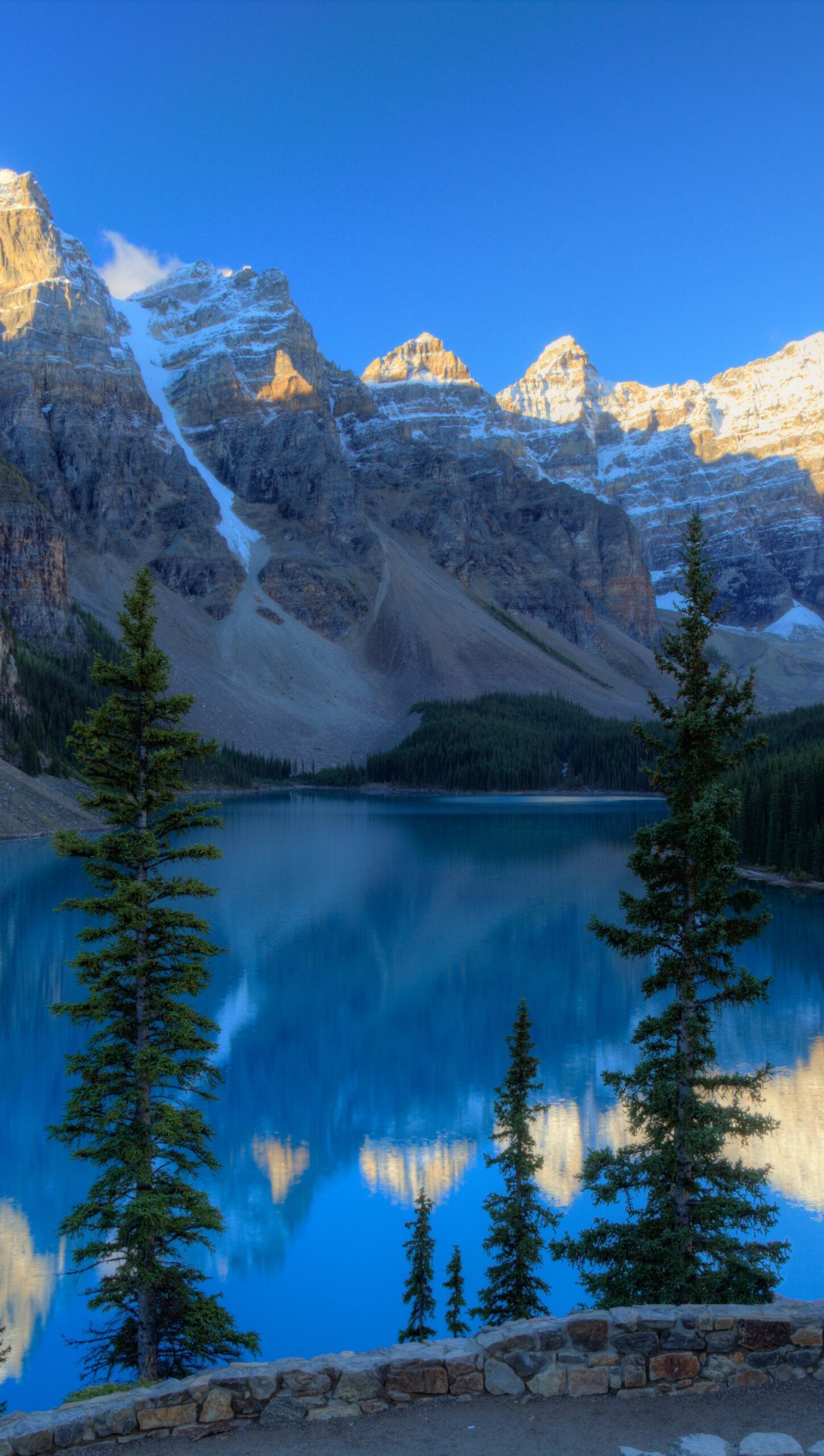 Grandes montañas en el bosque Lago Moraine