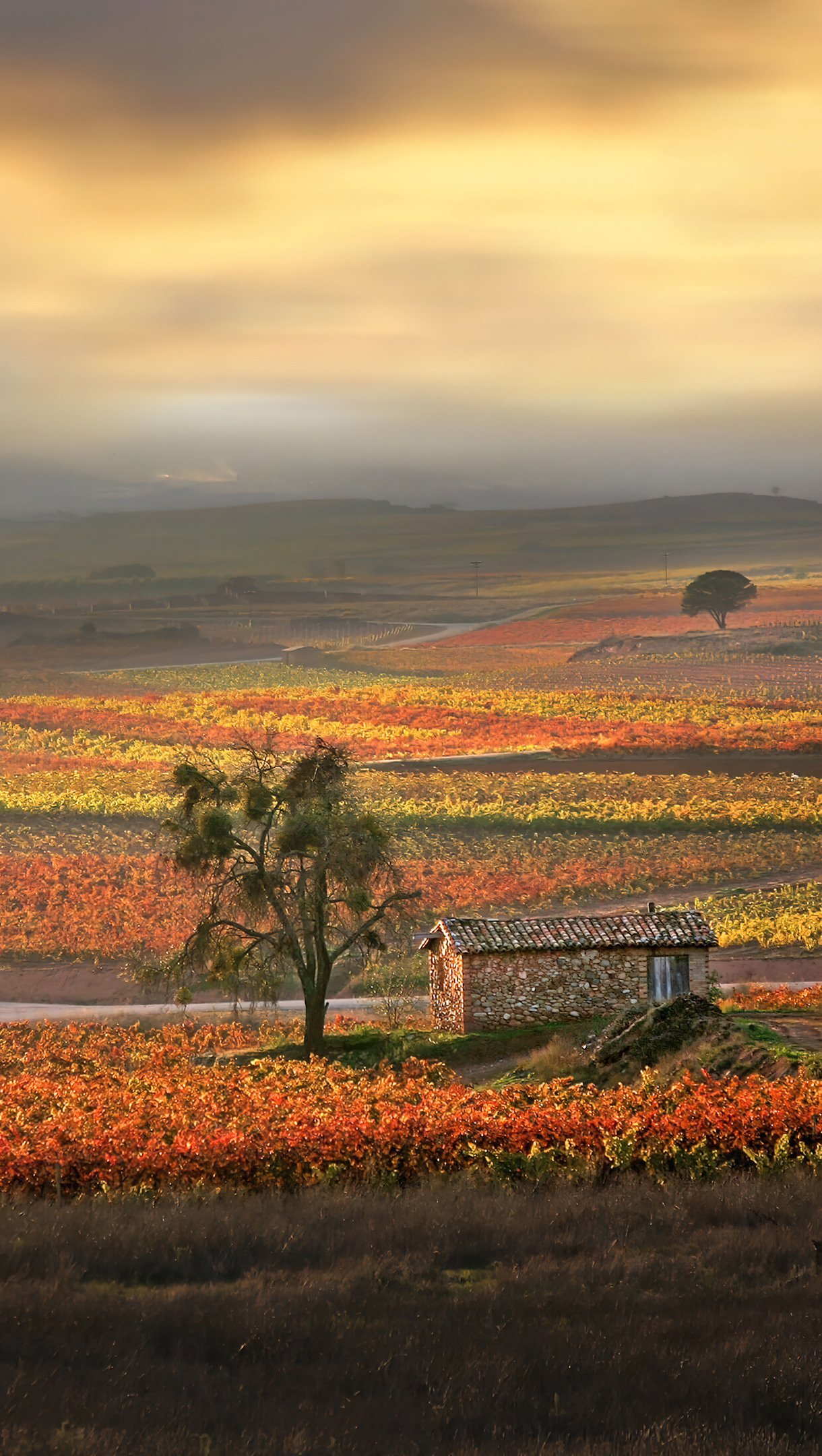 Granja en el campo