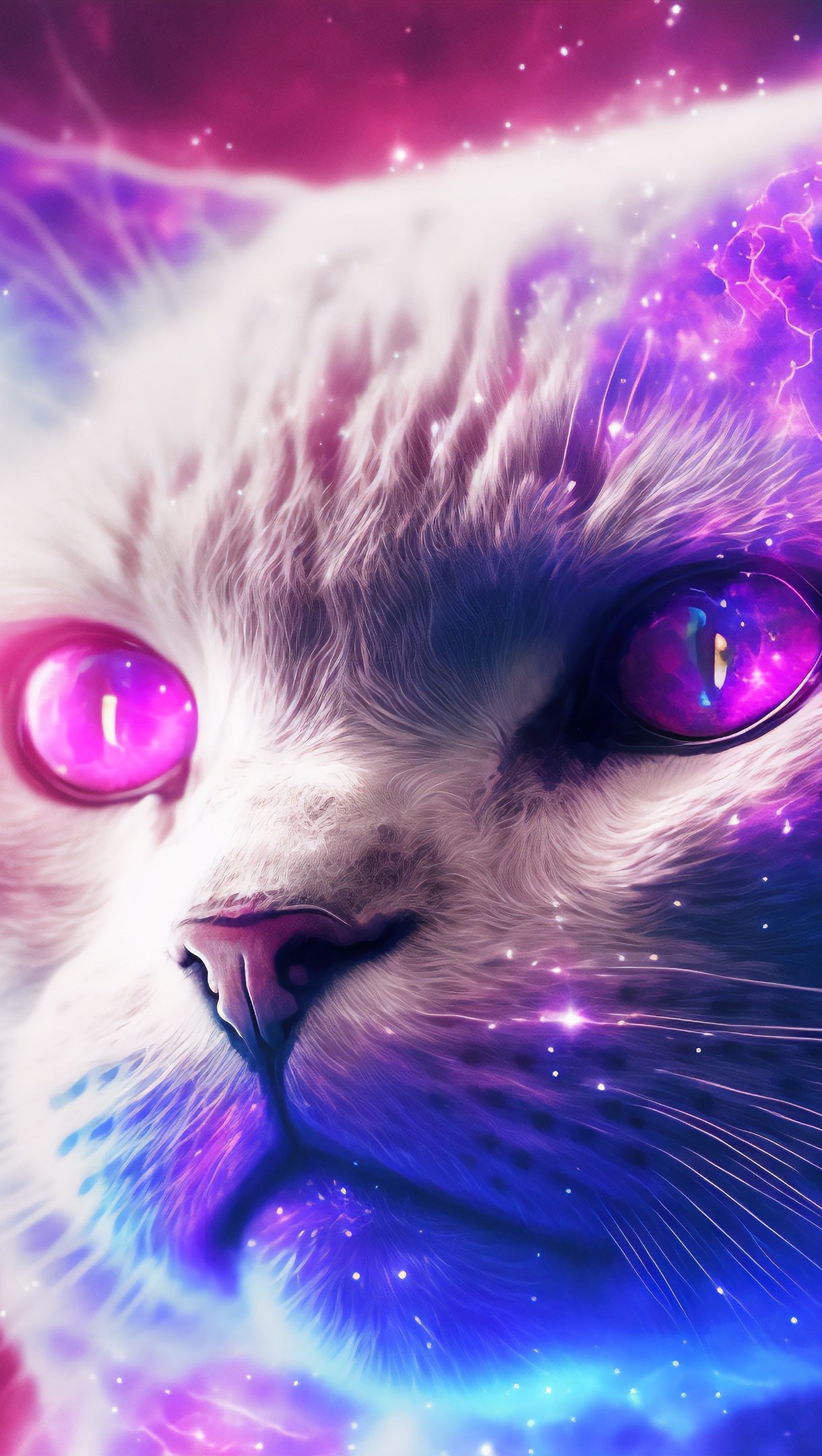 Ilustración de gato con galaxia