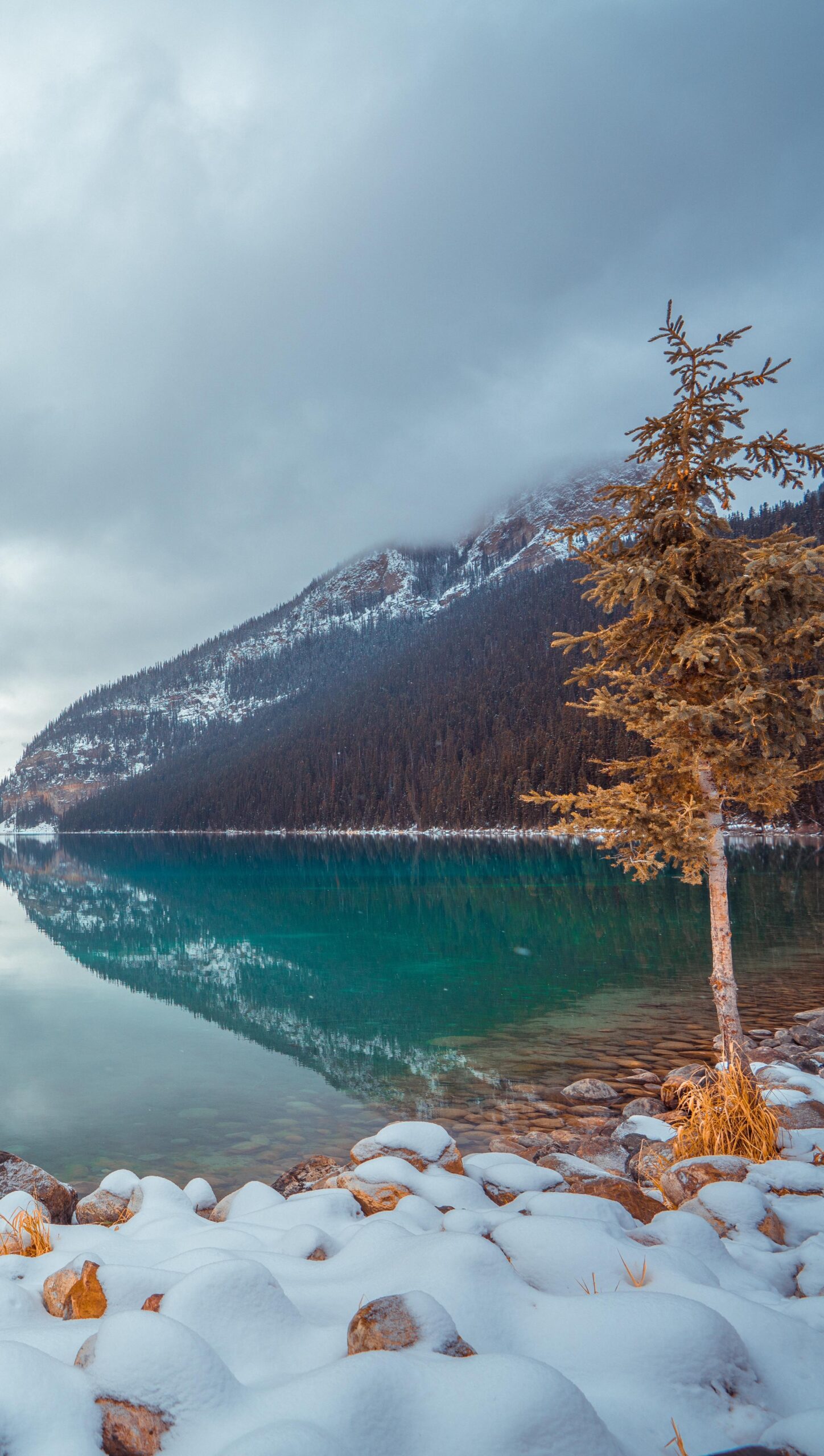 Lago con niebla Louise en Canada