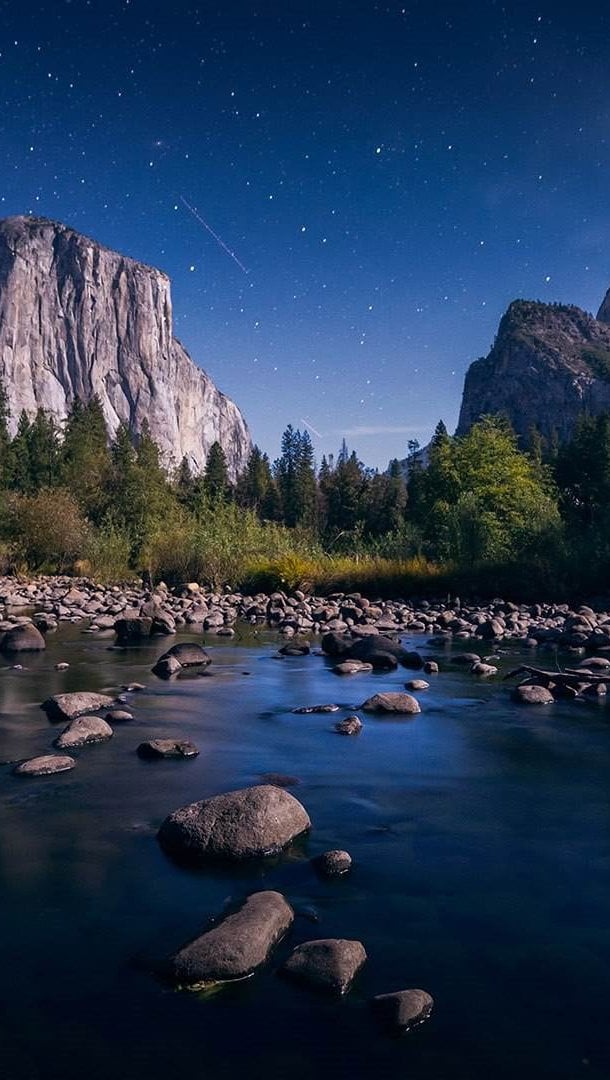 Lago con rocas en el bosque